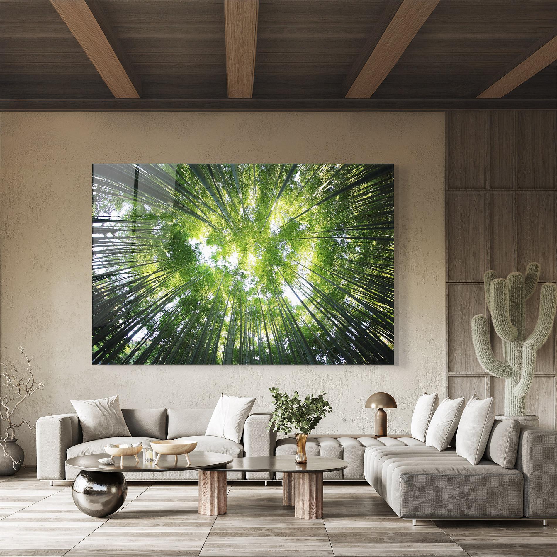 Glasbild Big Trees Morning mockup 8