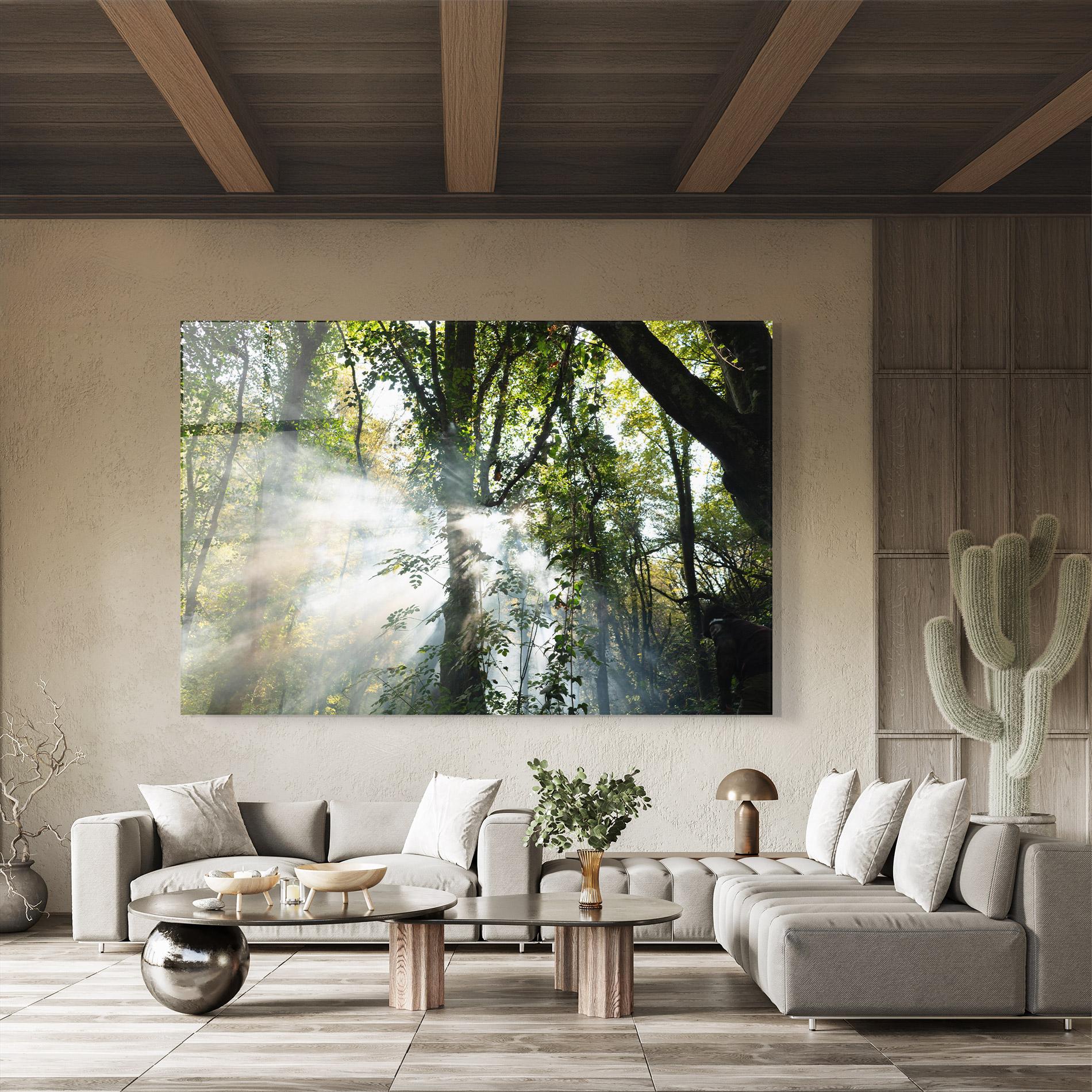 Glasbild Foggy Light Forest mockup 8