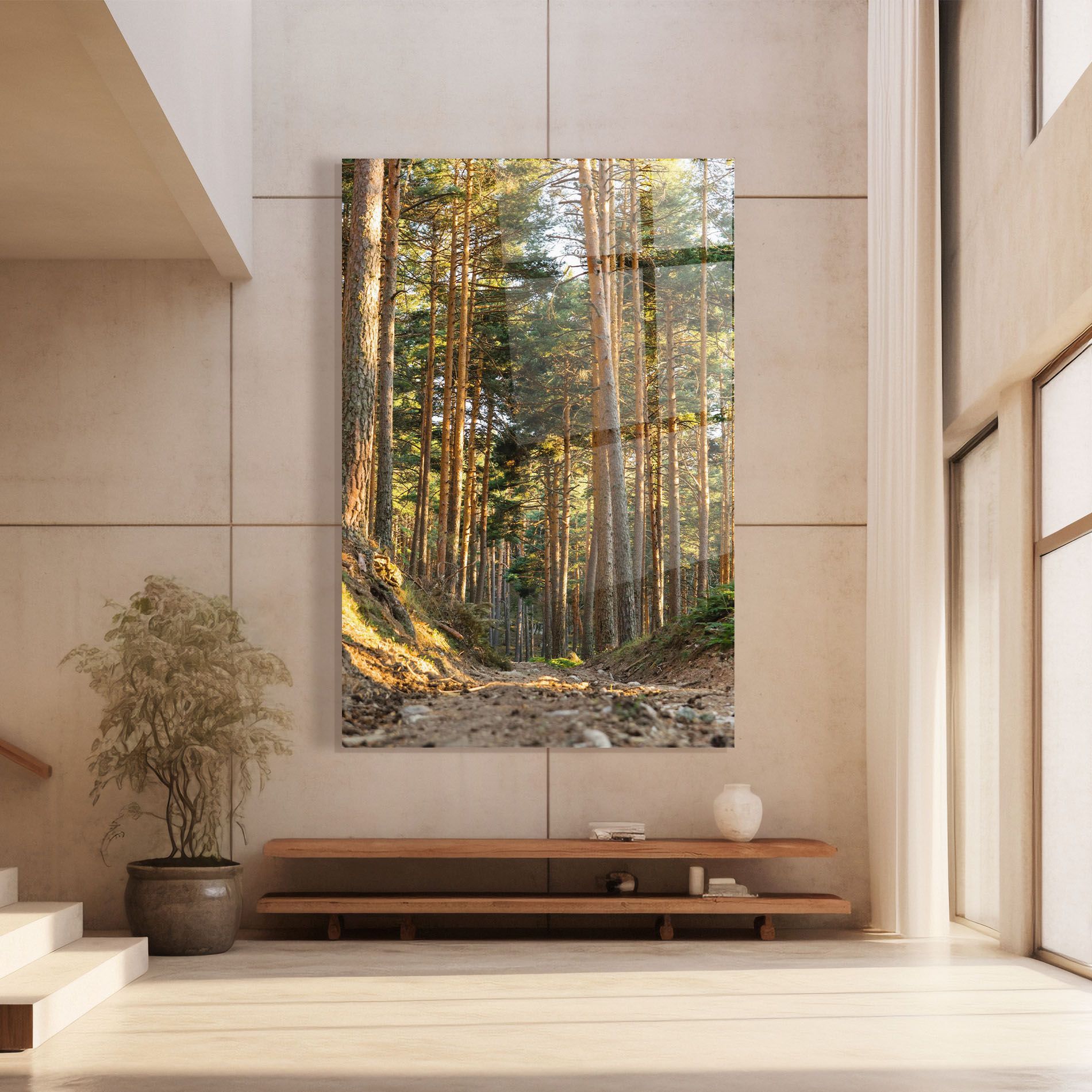 Big Trees Forest mockup 8