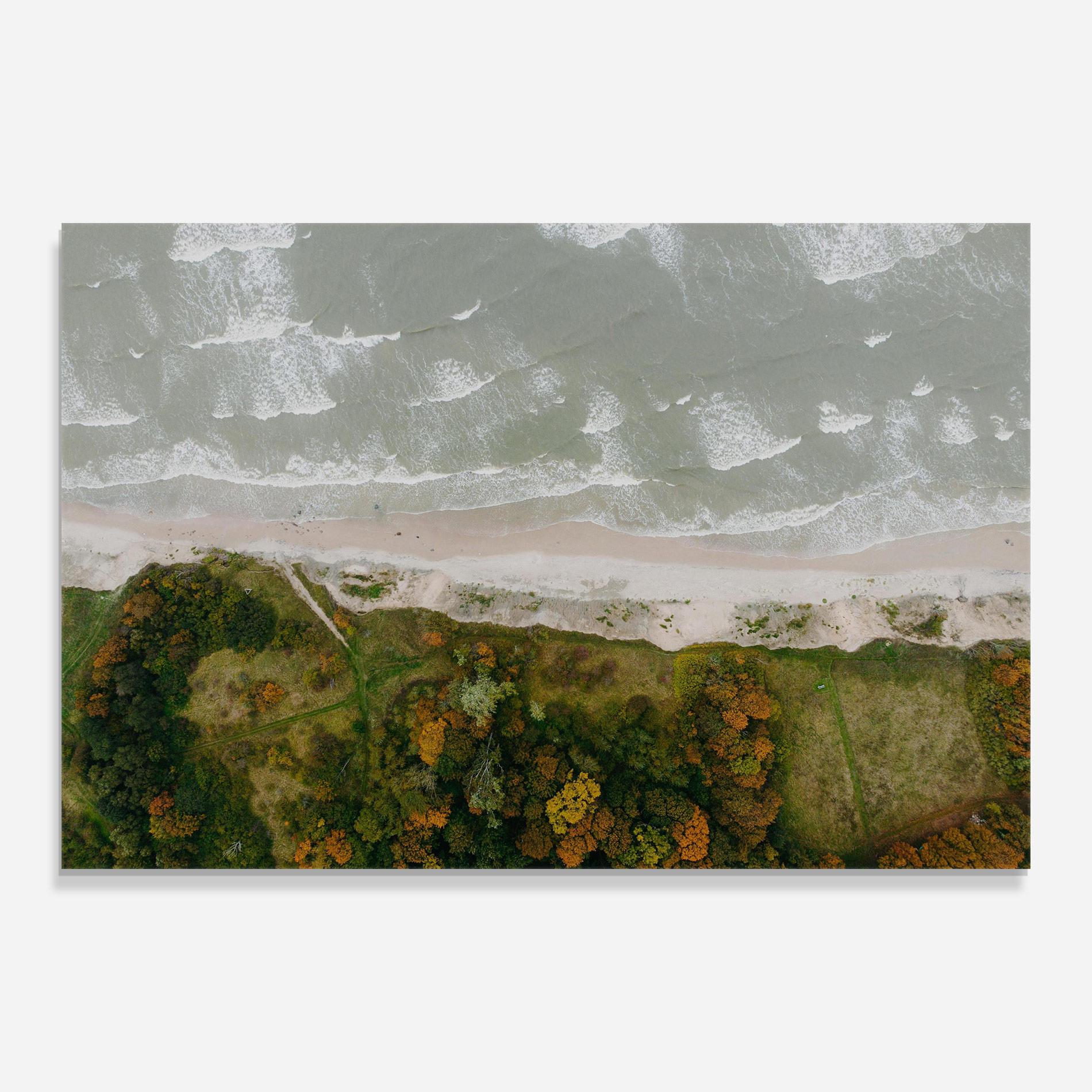 Glasbild Forest Waves mockup 0