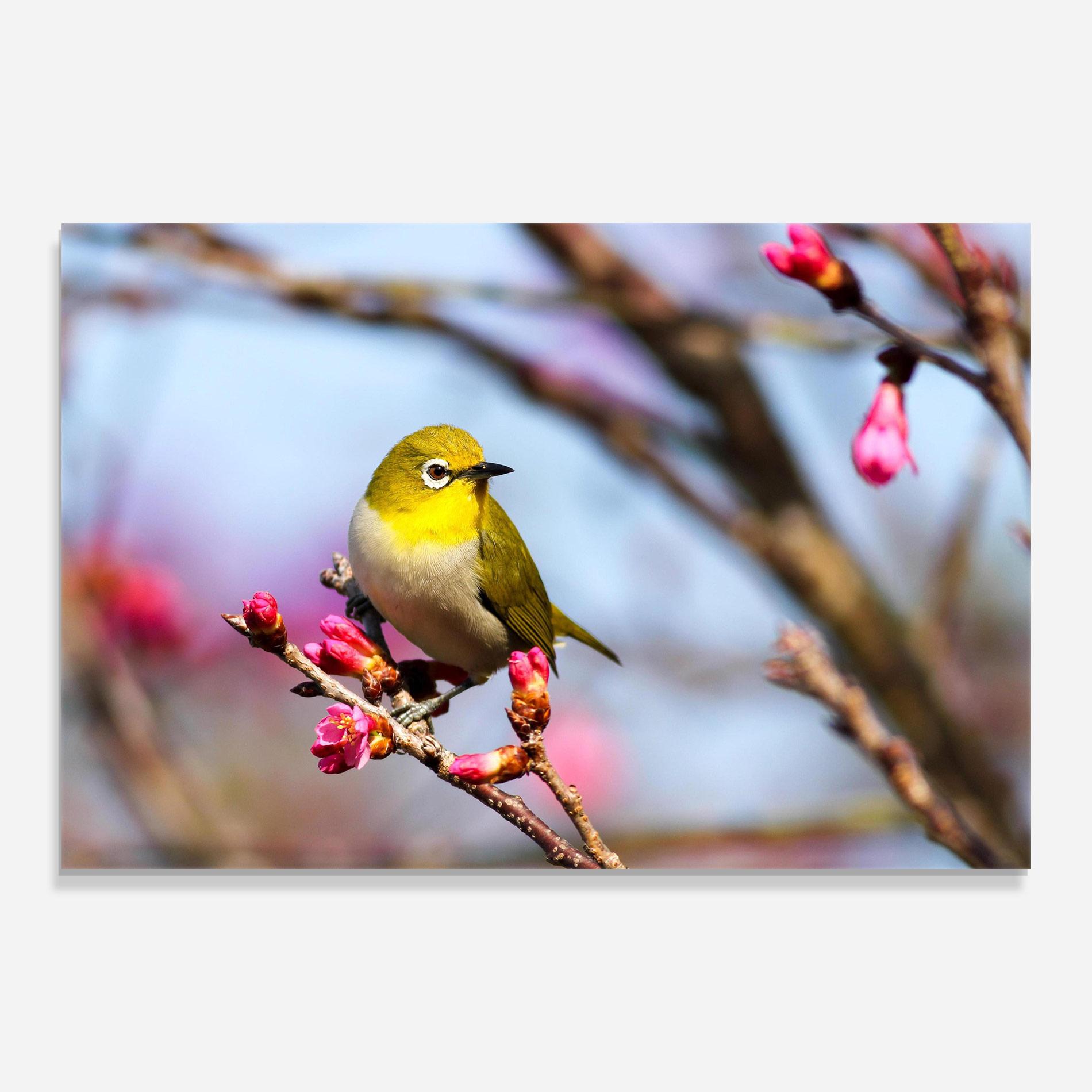 Glasbild Cute Pink Flower Buds mockup 0