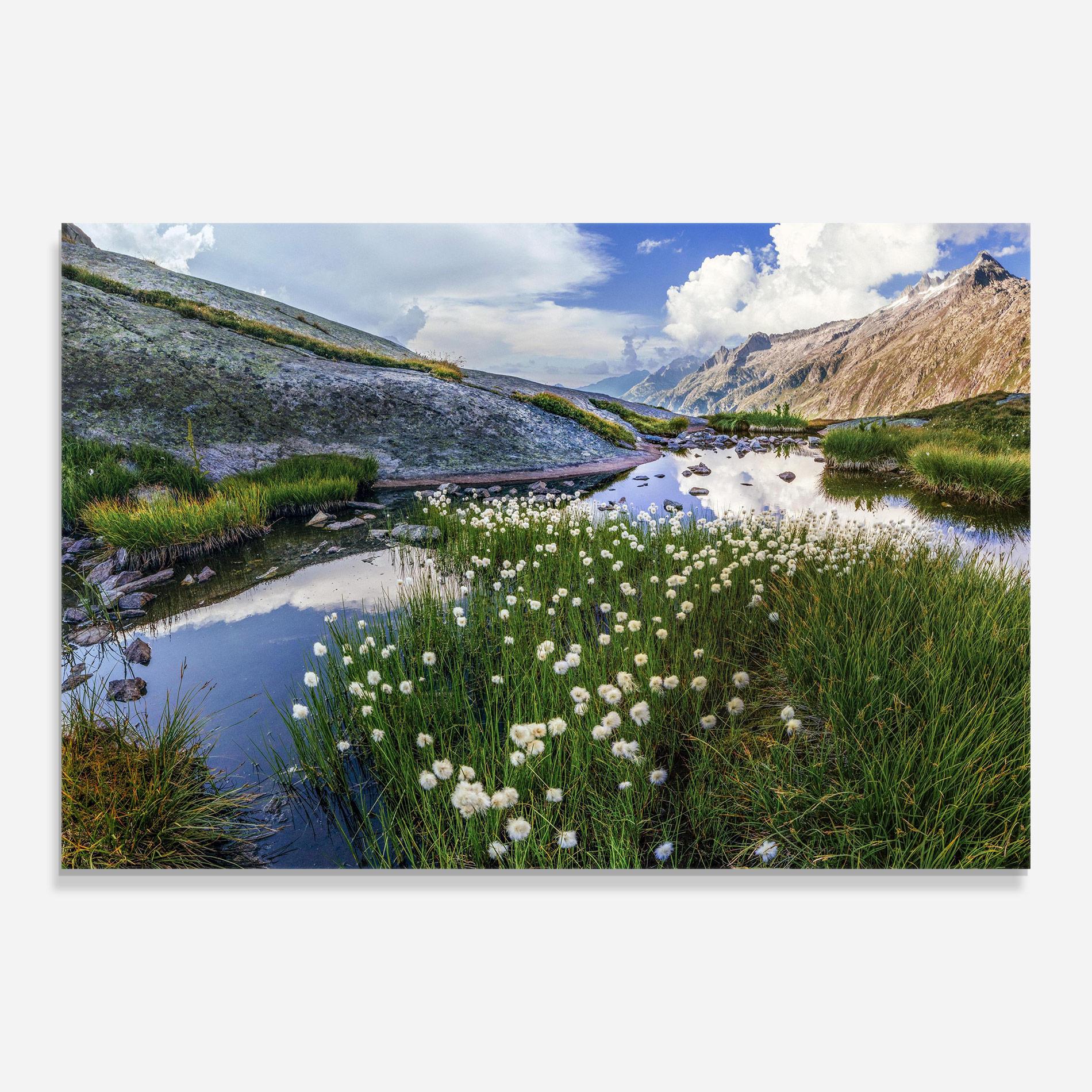 Glasbild Lake Spring View mockup 0