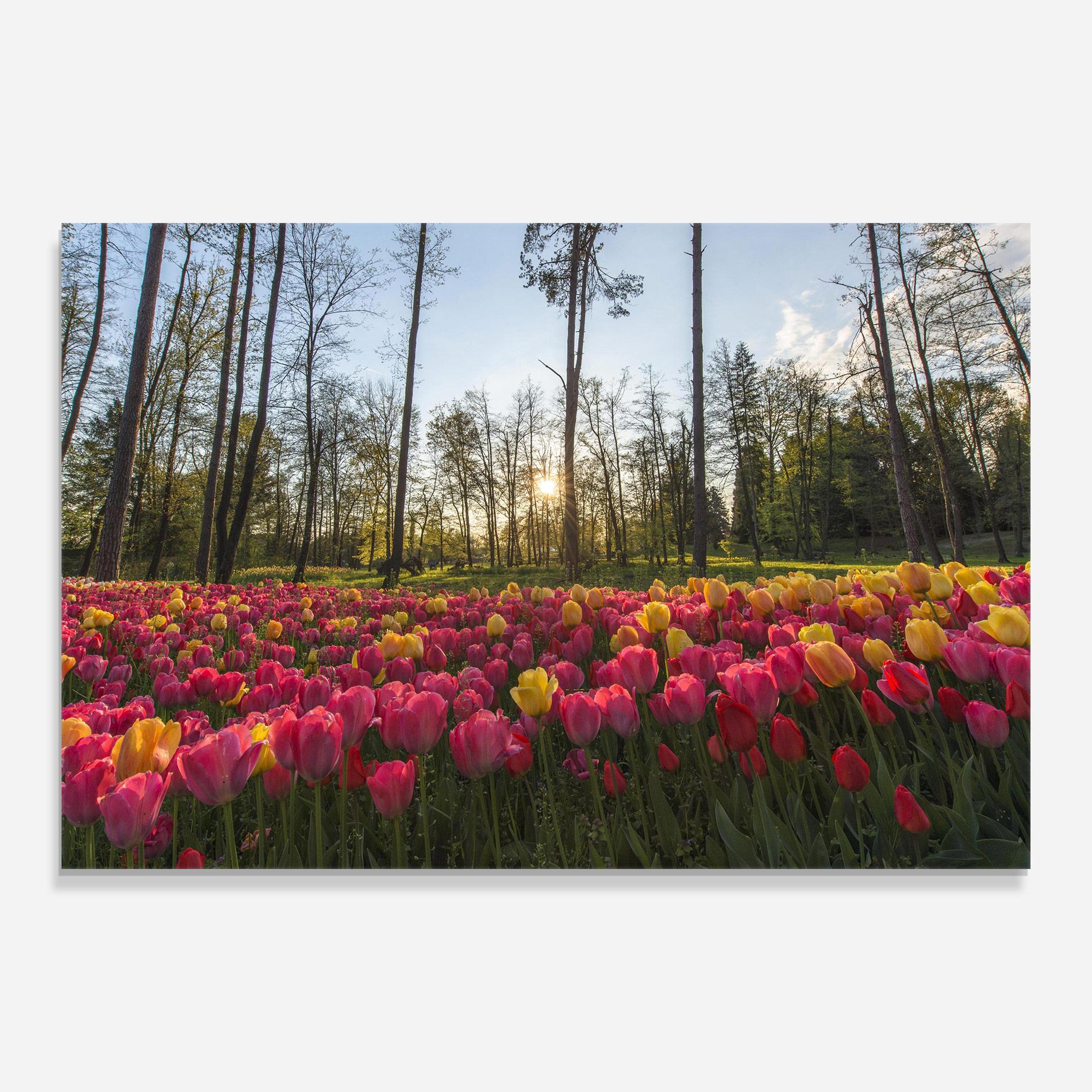 Glasbild Pretty Spring Flowers mockup 0
