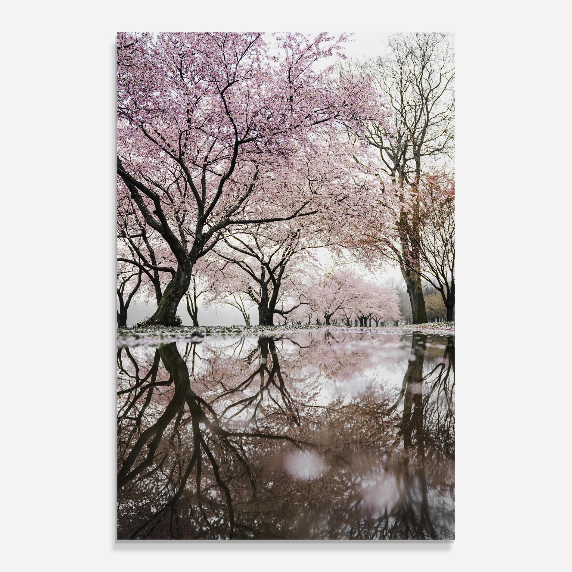 Glasbild Pretty Pink Spring Tree mockup 0