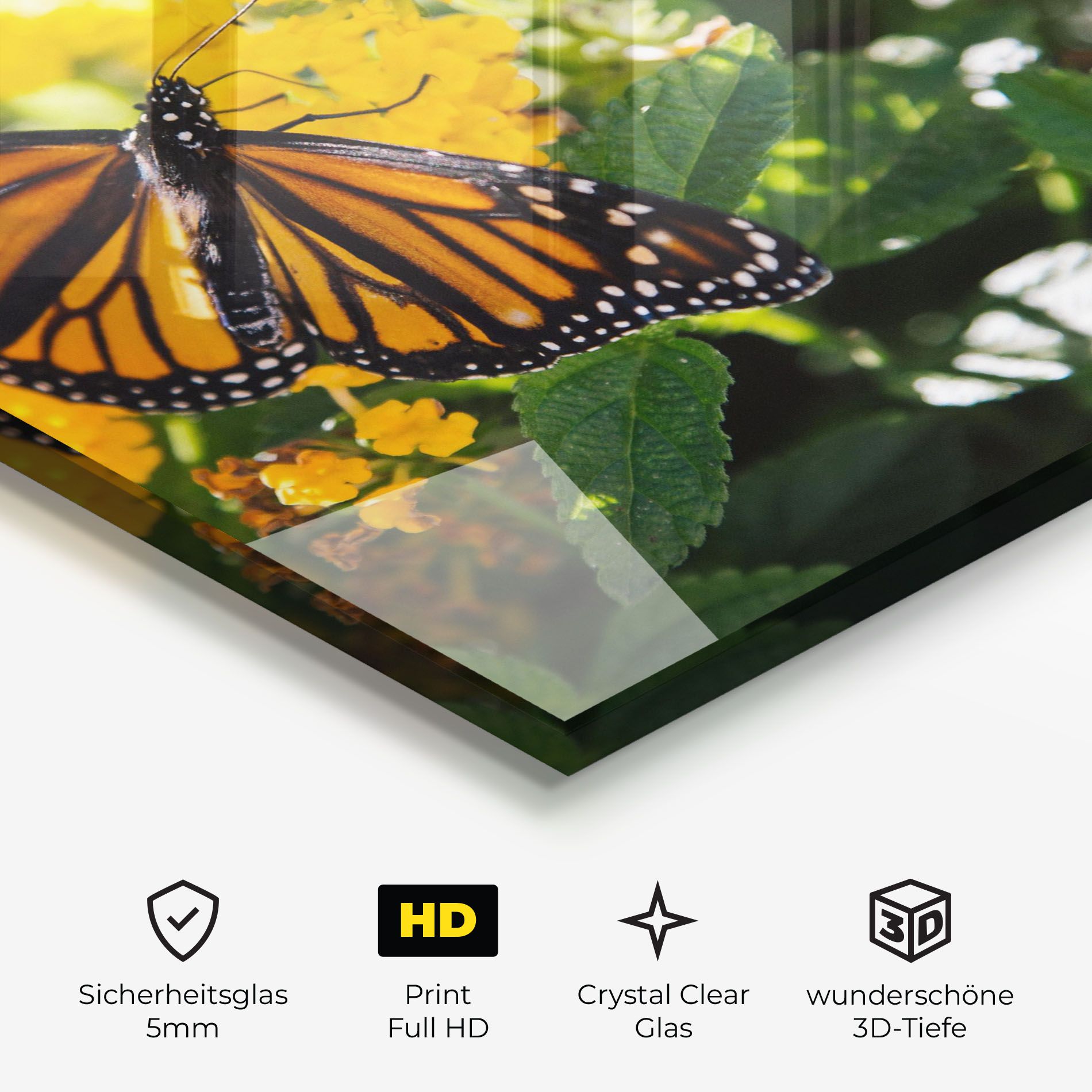 Orange Spring Butterfly mockup 3
