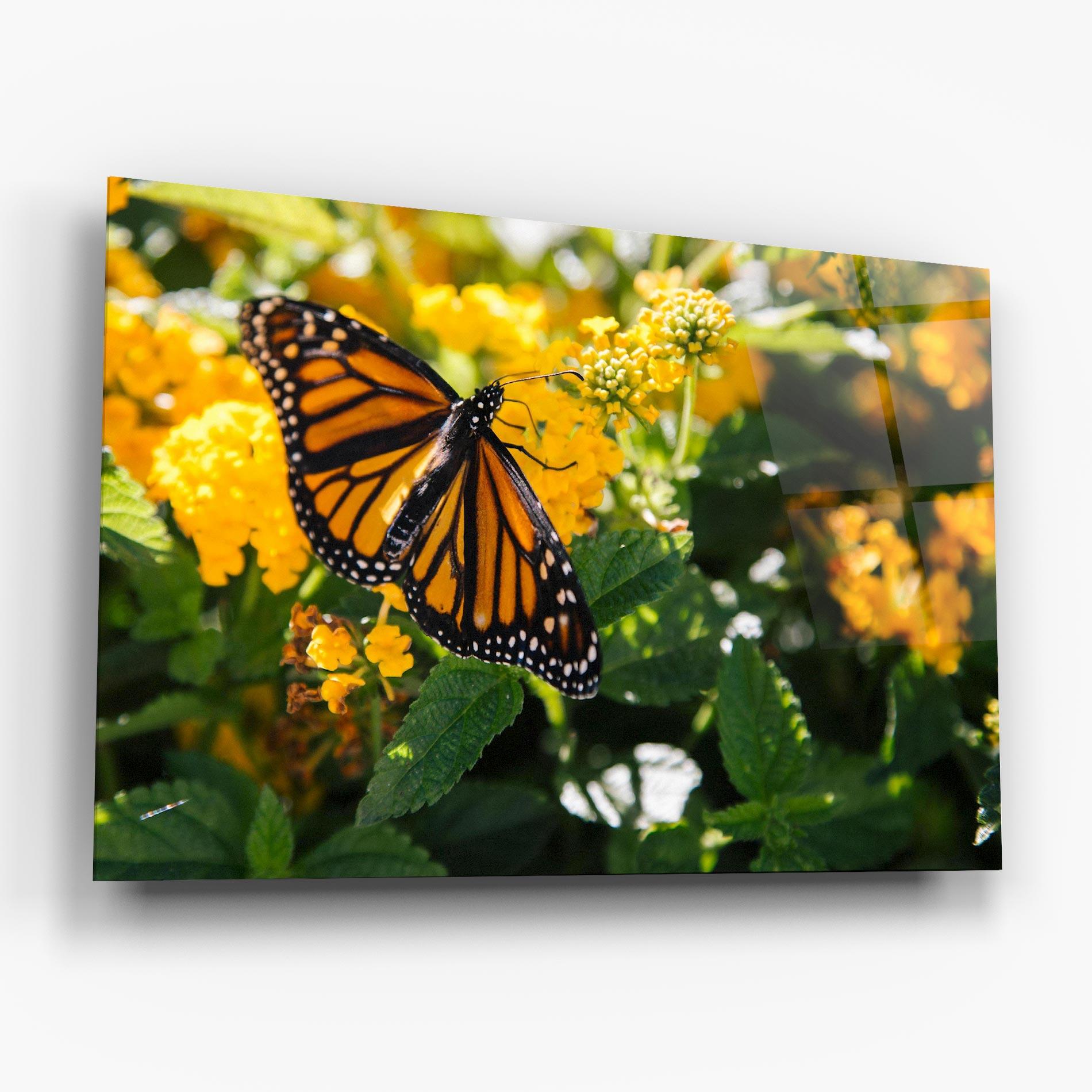 Glasbild Orange Spring Butterfly mockup 6