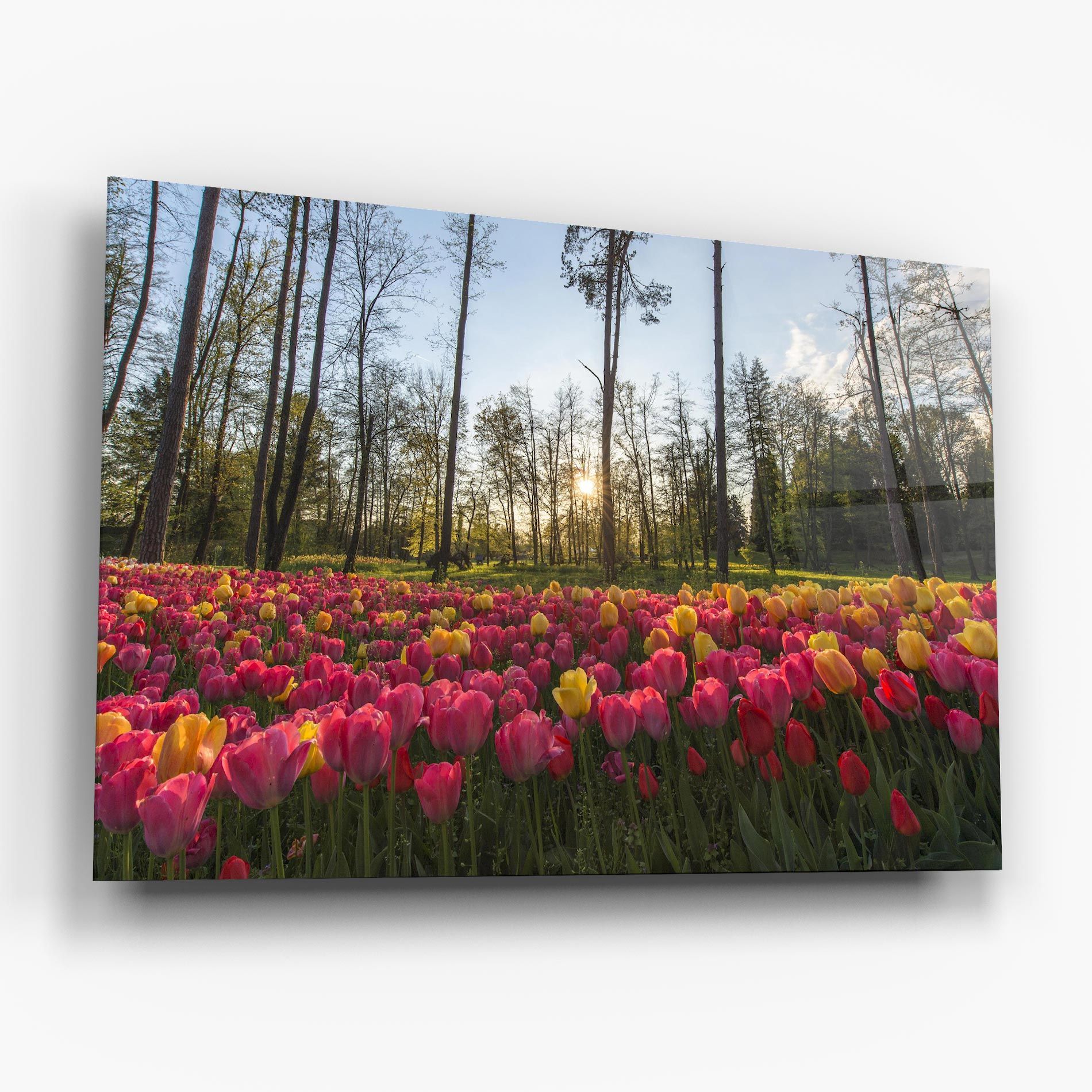 Pretty Spring Flowers mockup 6