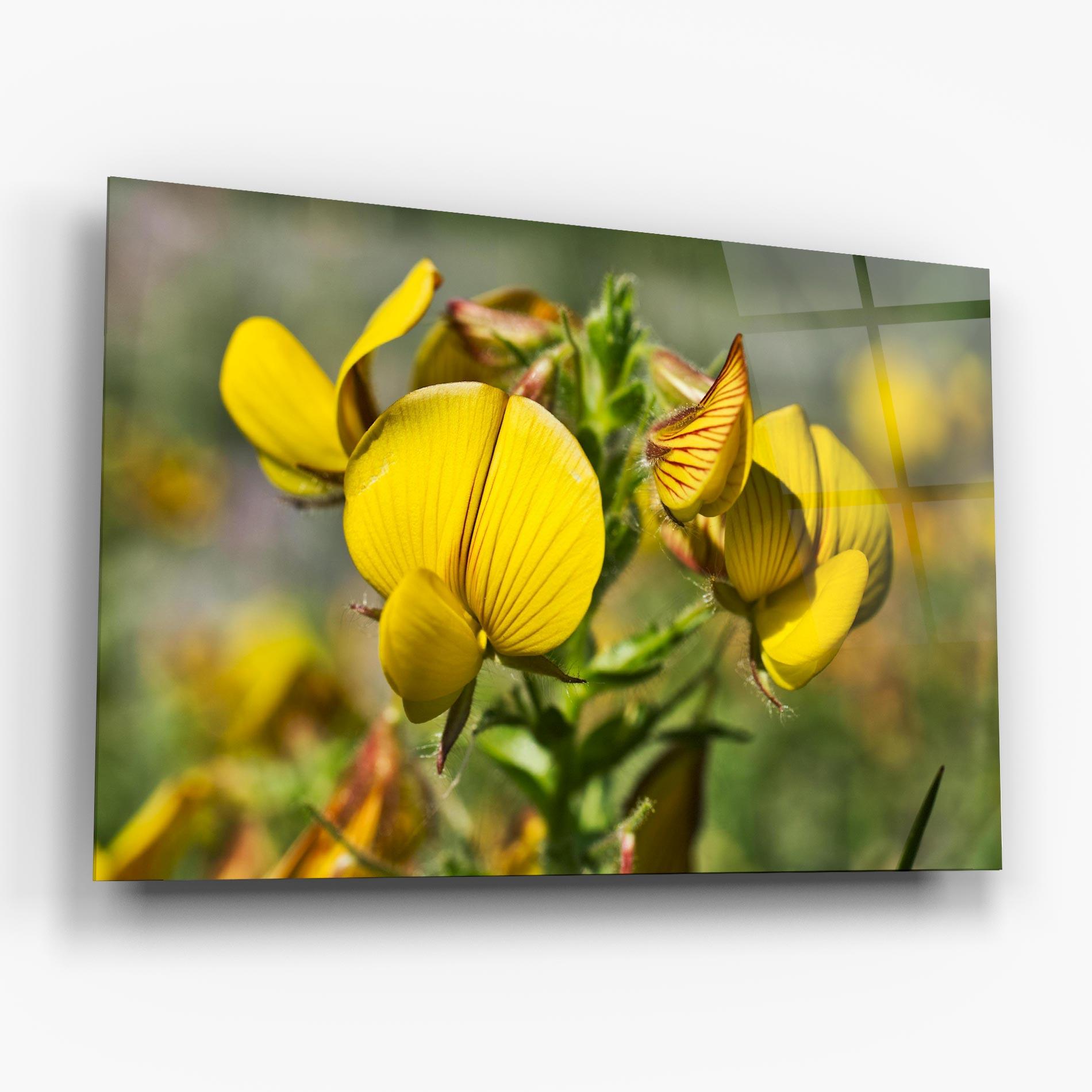 Glasbild Pretty Spring Yellow Flower mockup 6