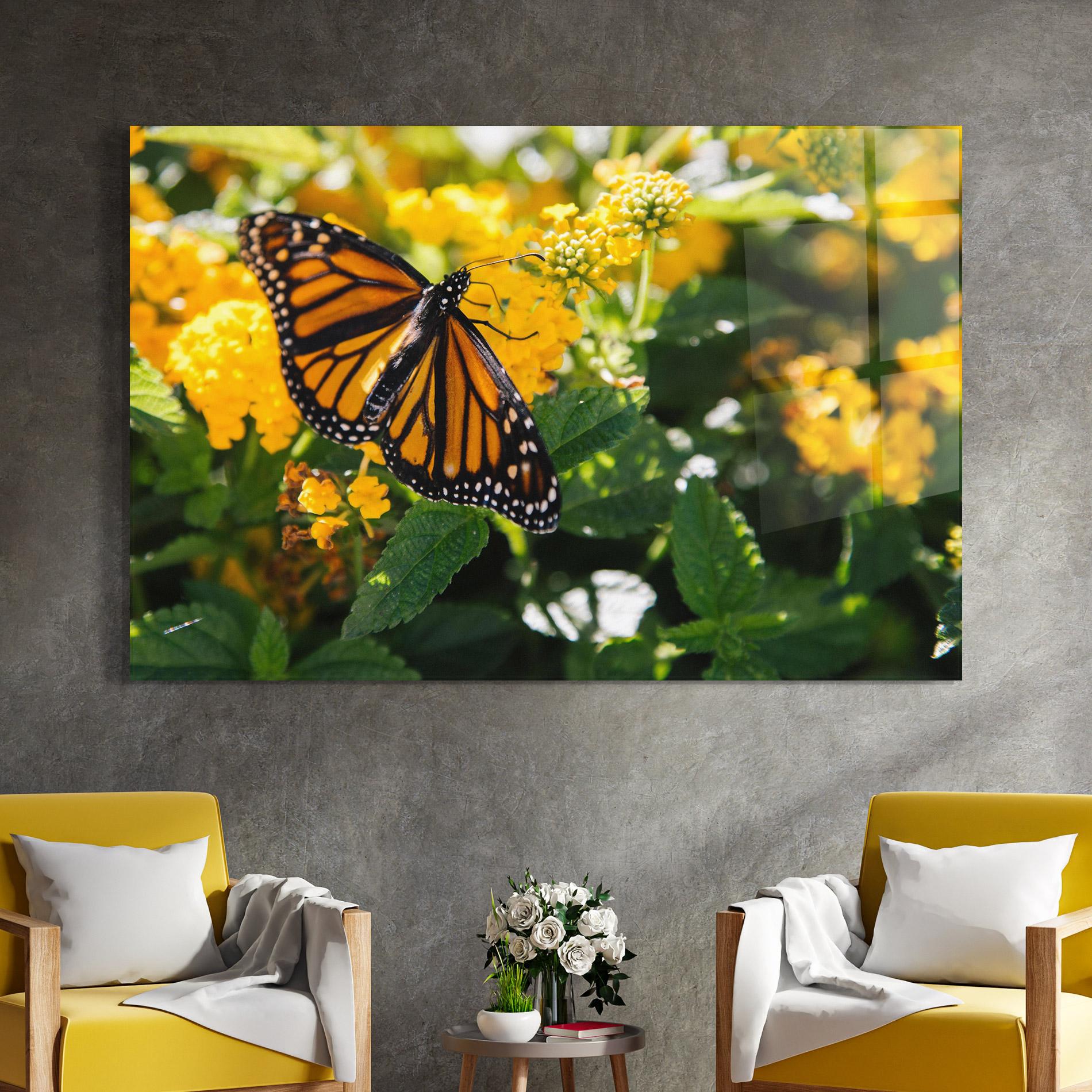 Glasbild Orange Spring Butterfly mockup 4