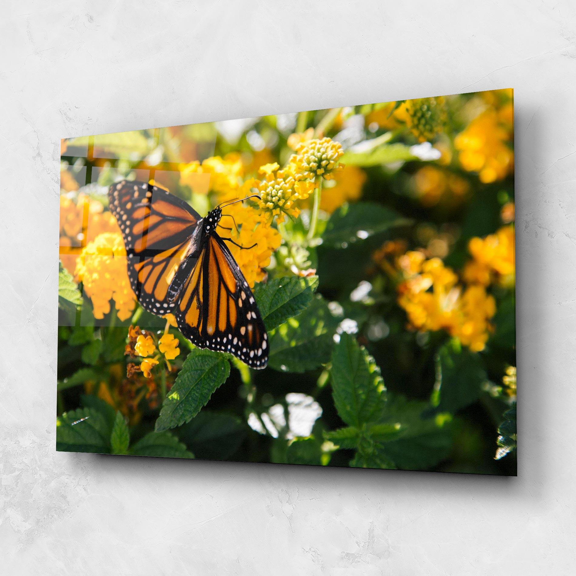 Glasbild Orange Spring Butterfly mockup 1