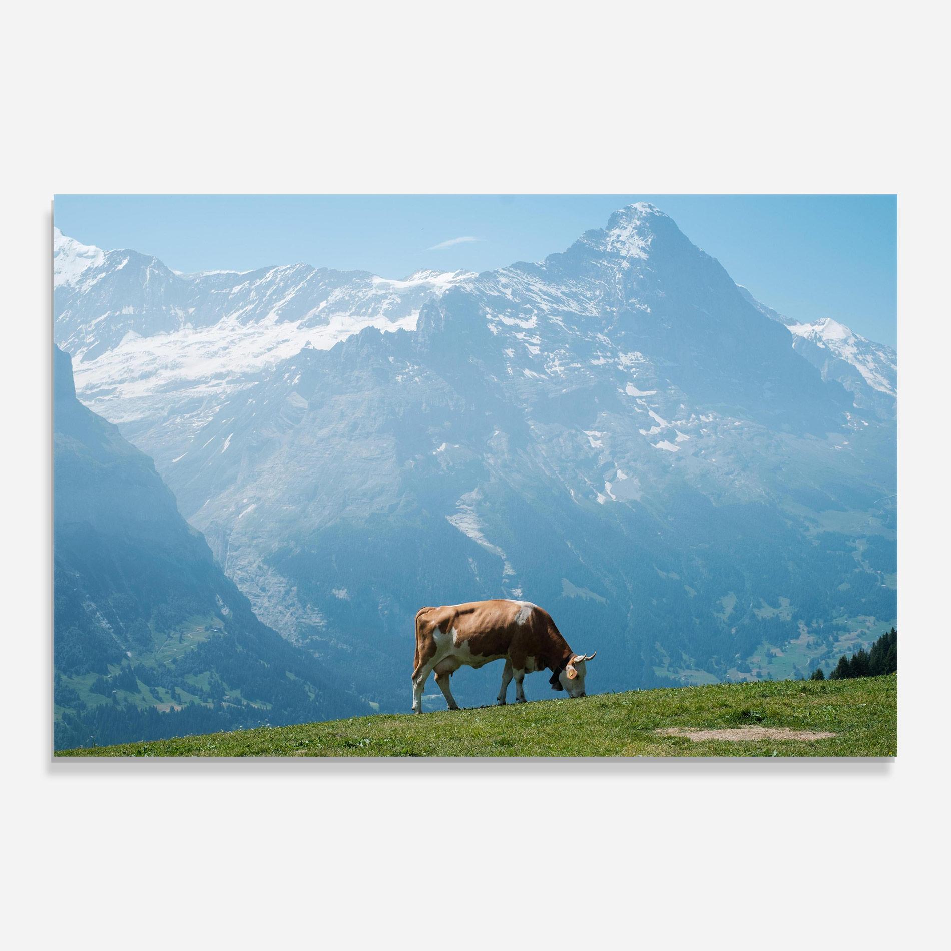 Glasbild Cow Mountain mockup 0