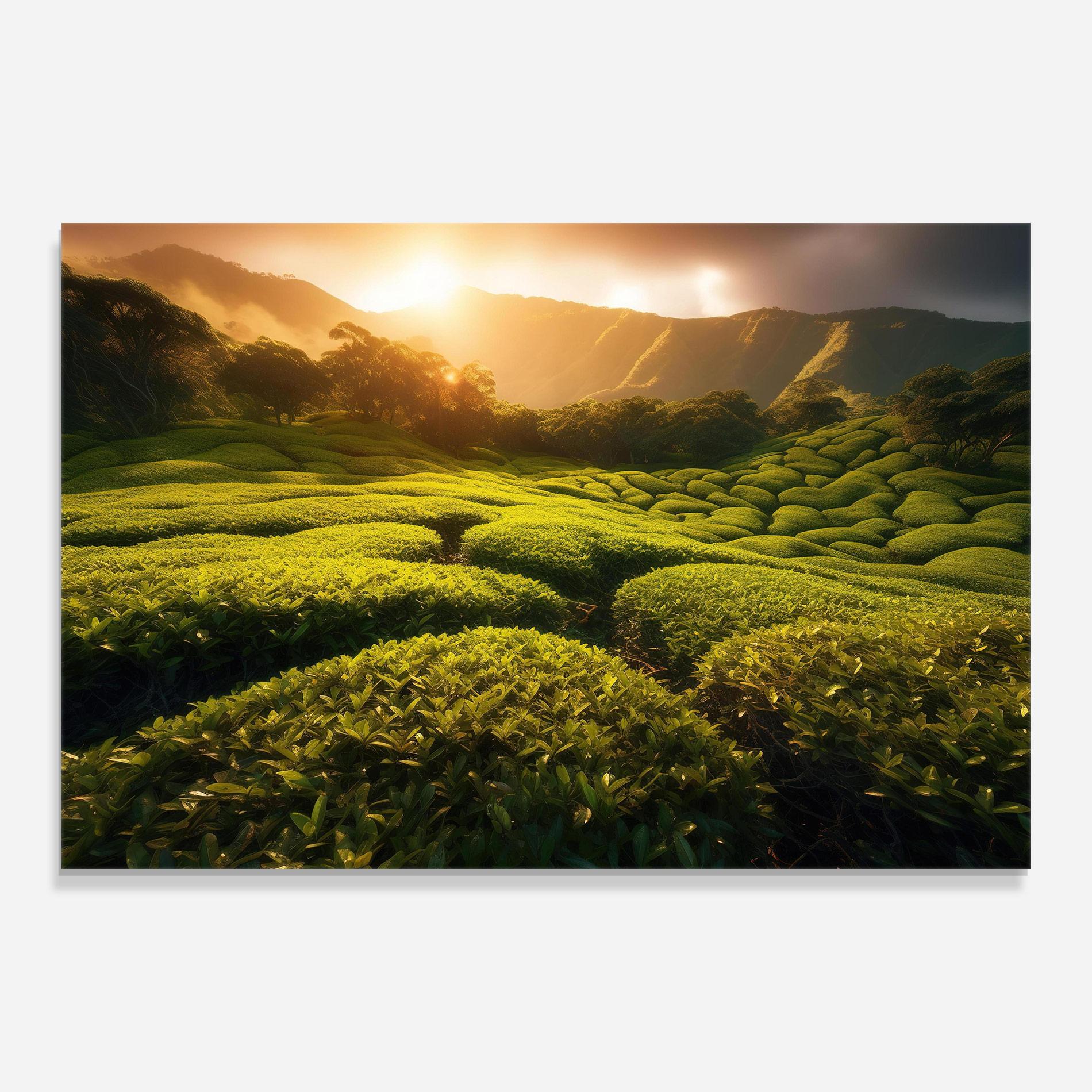 Glasbild Tea Fields mockup 0