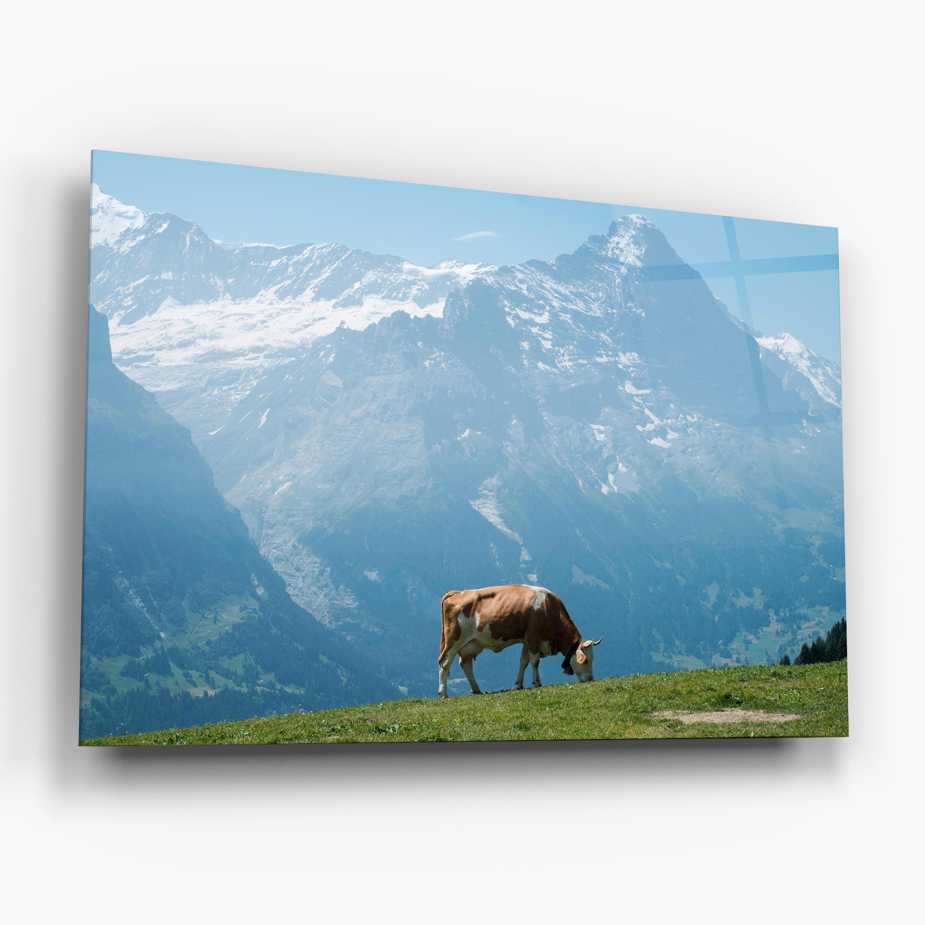 Glasbild Cow Mountain mockup 6