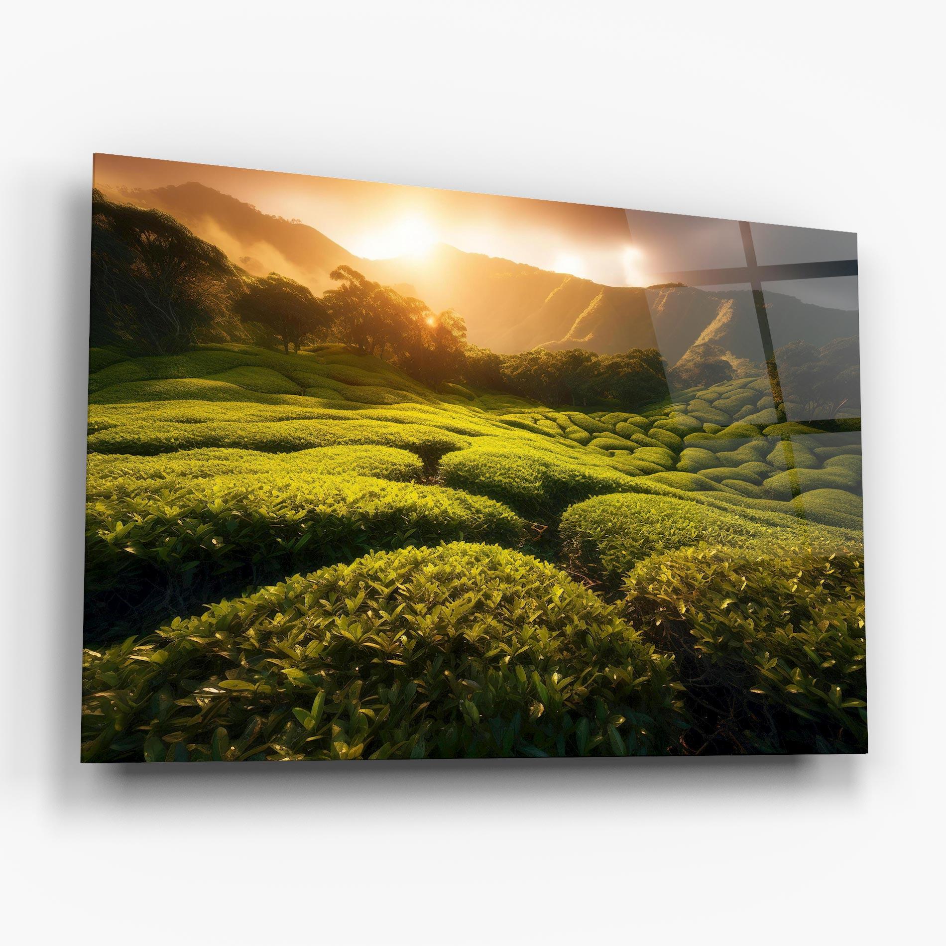 Glasbild Tea Fields mockup 6