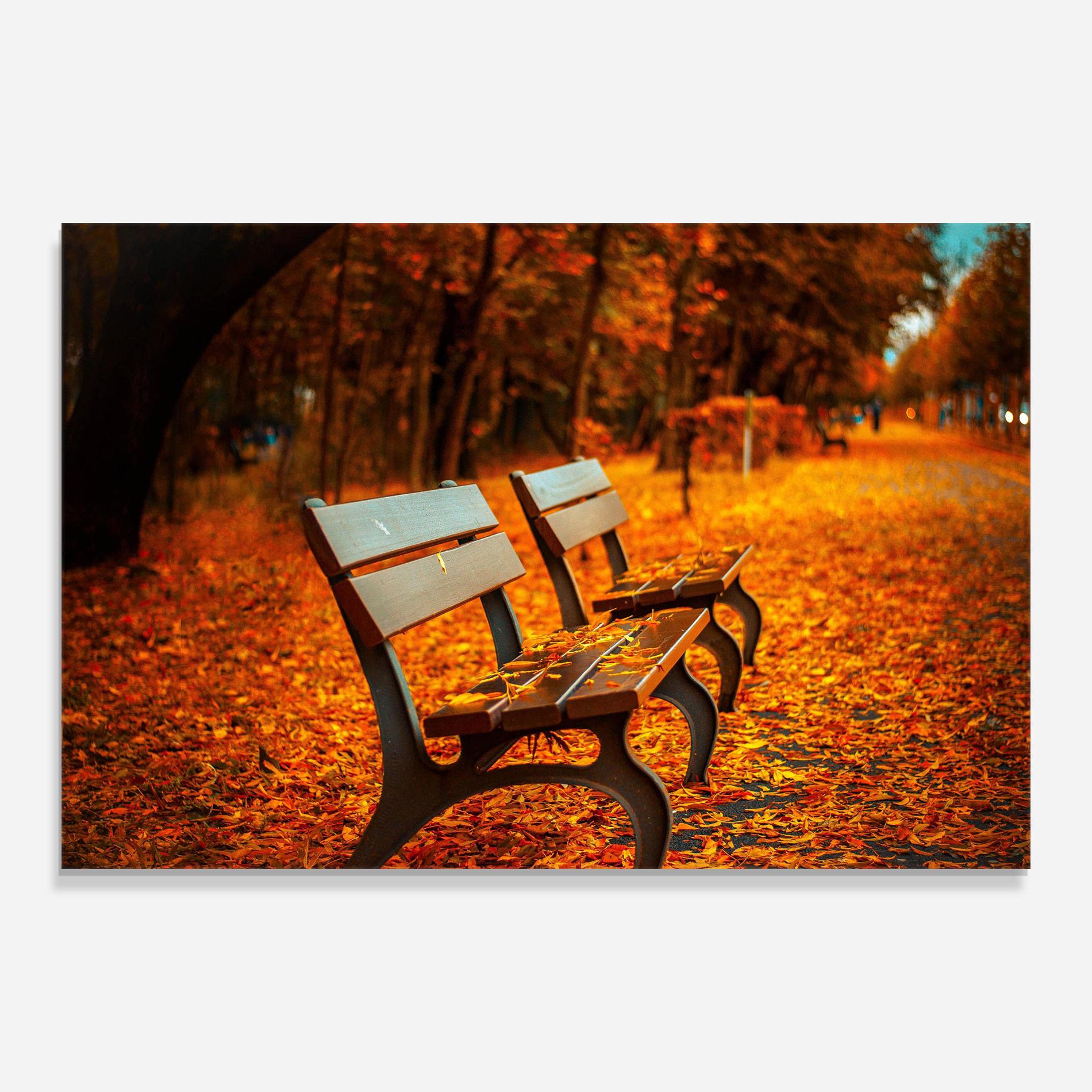 Glasbild Autumn Bench View mockup 0