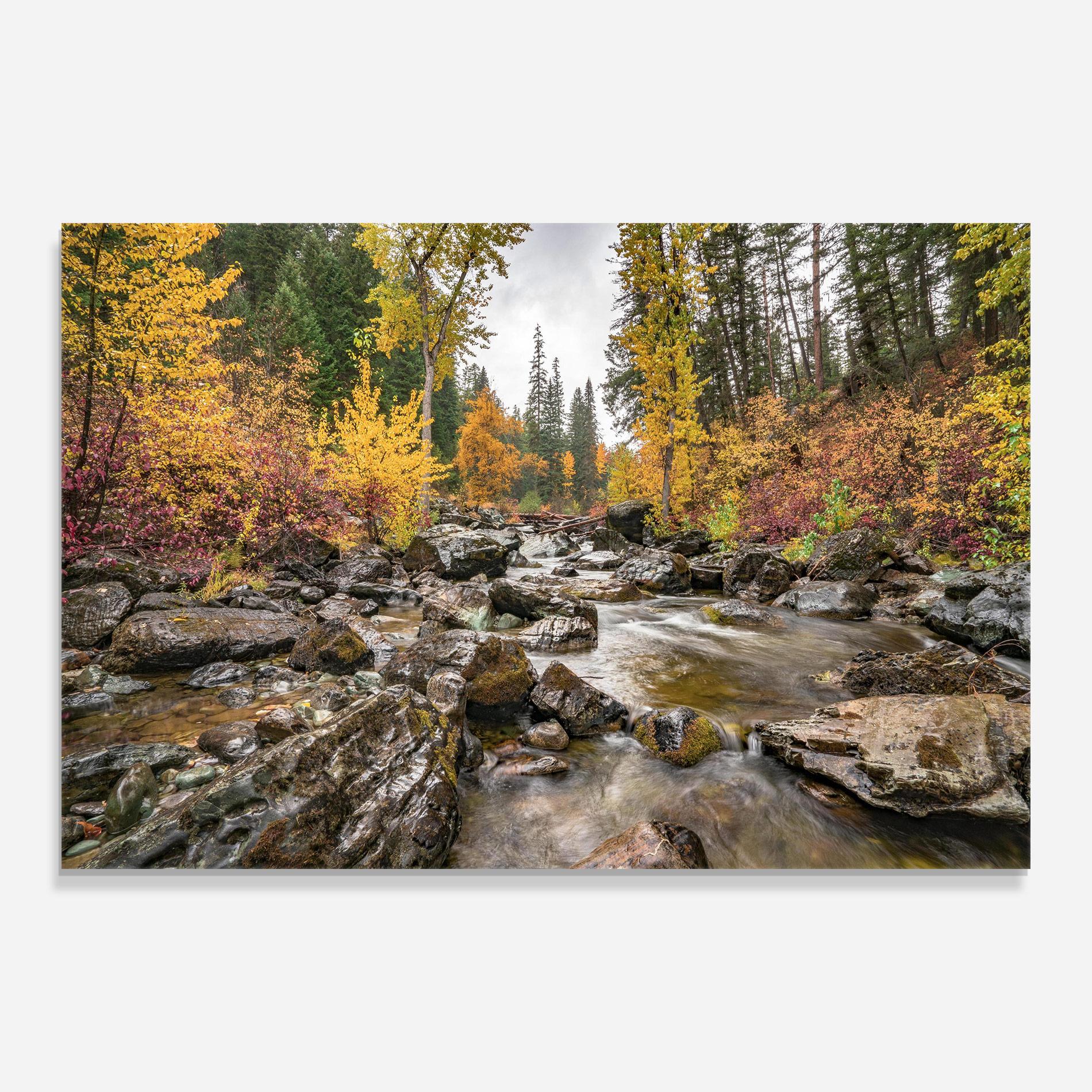 Glasbild Autumn Stream mockup 0
