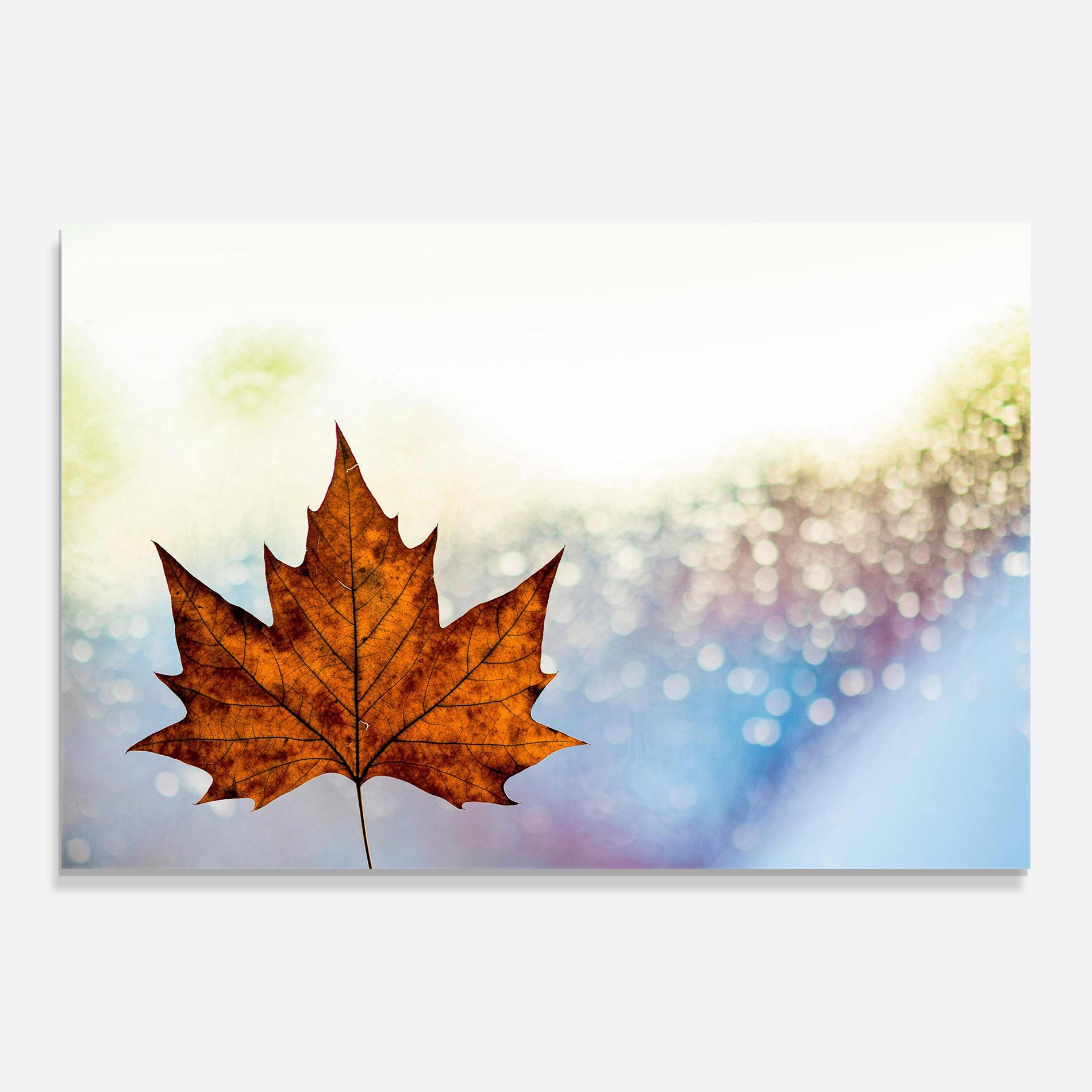 Glasbild Brown Orange Leaf mockup 0