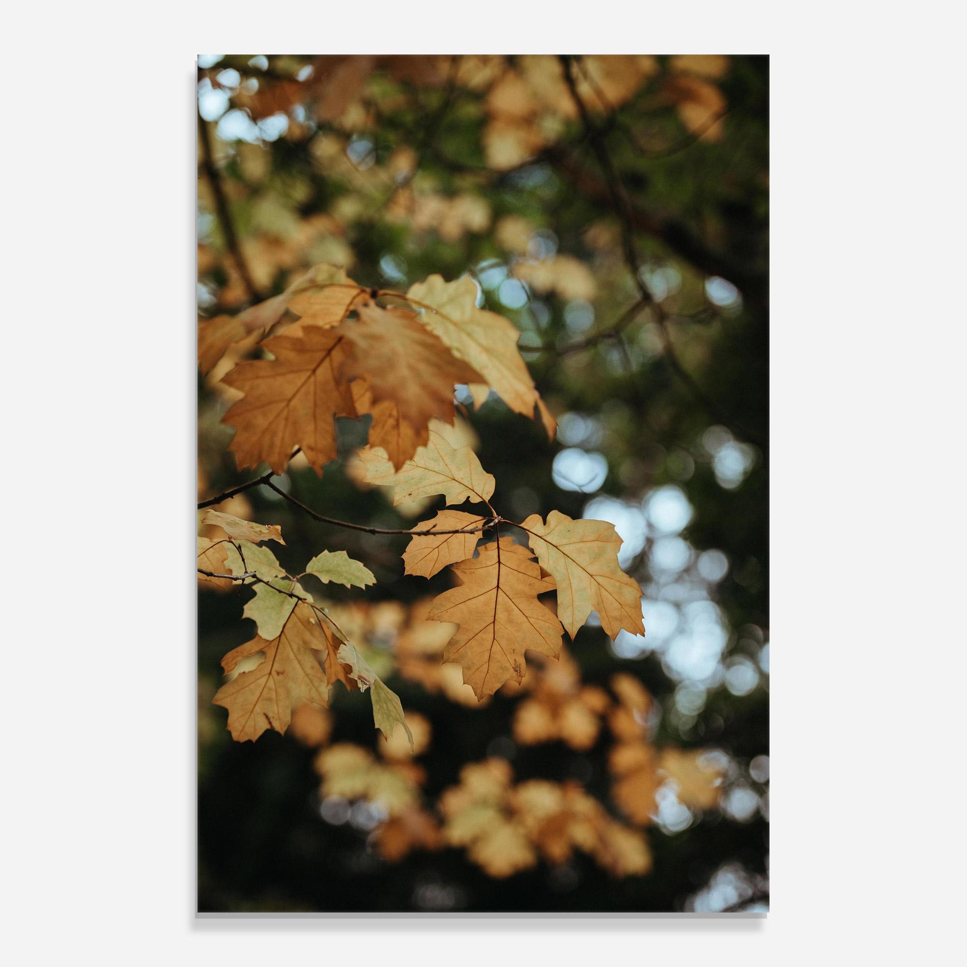 Glasbild Brown Leaves mockup 0