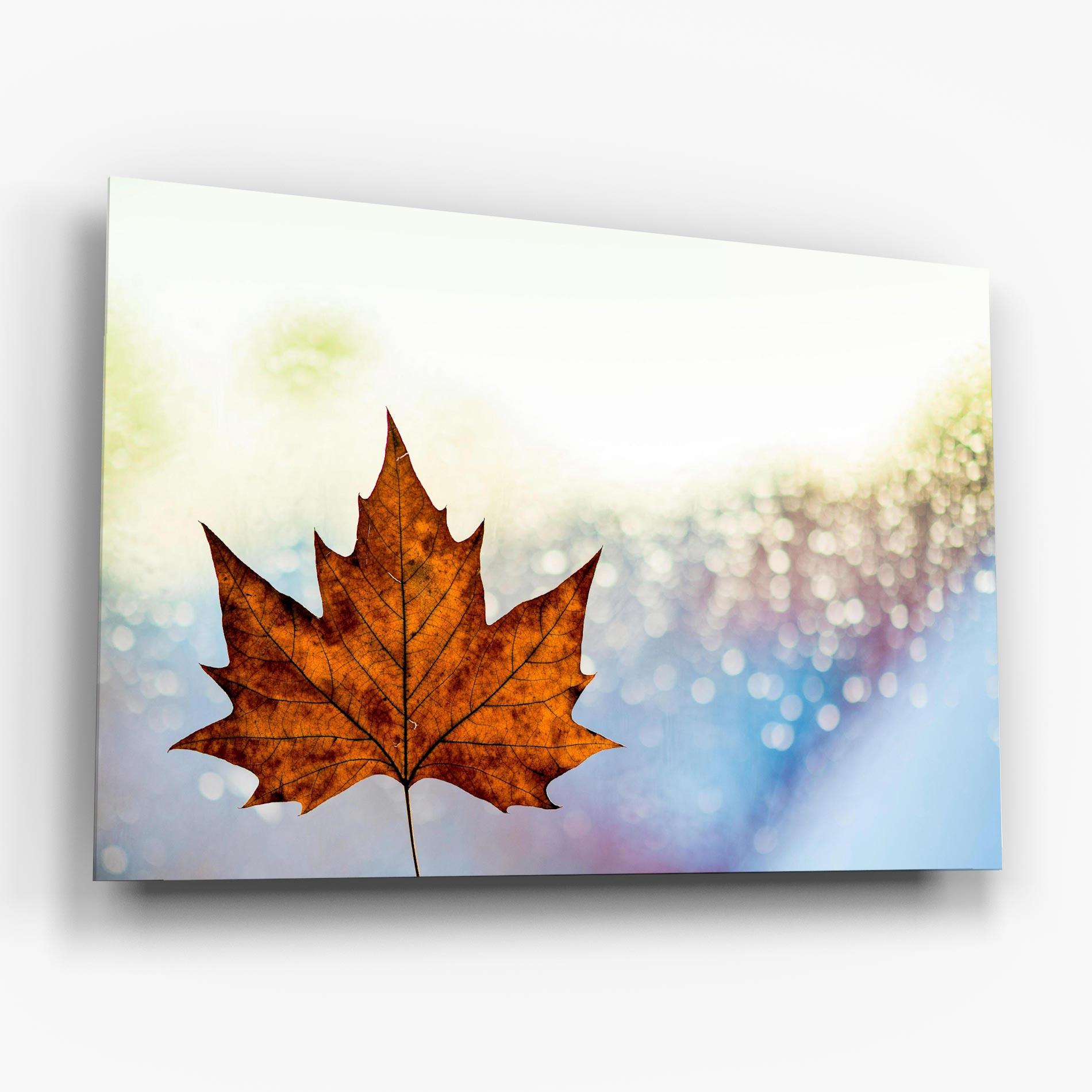 Glasbild Brown Orange Leaf mockup 6