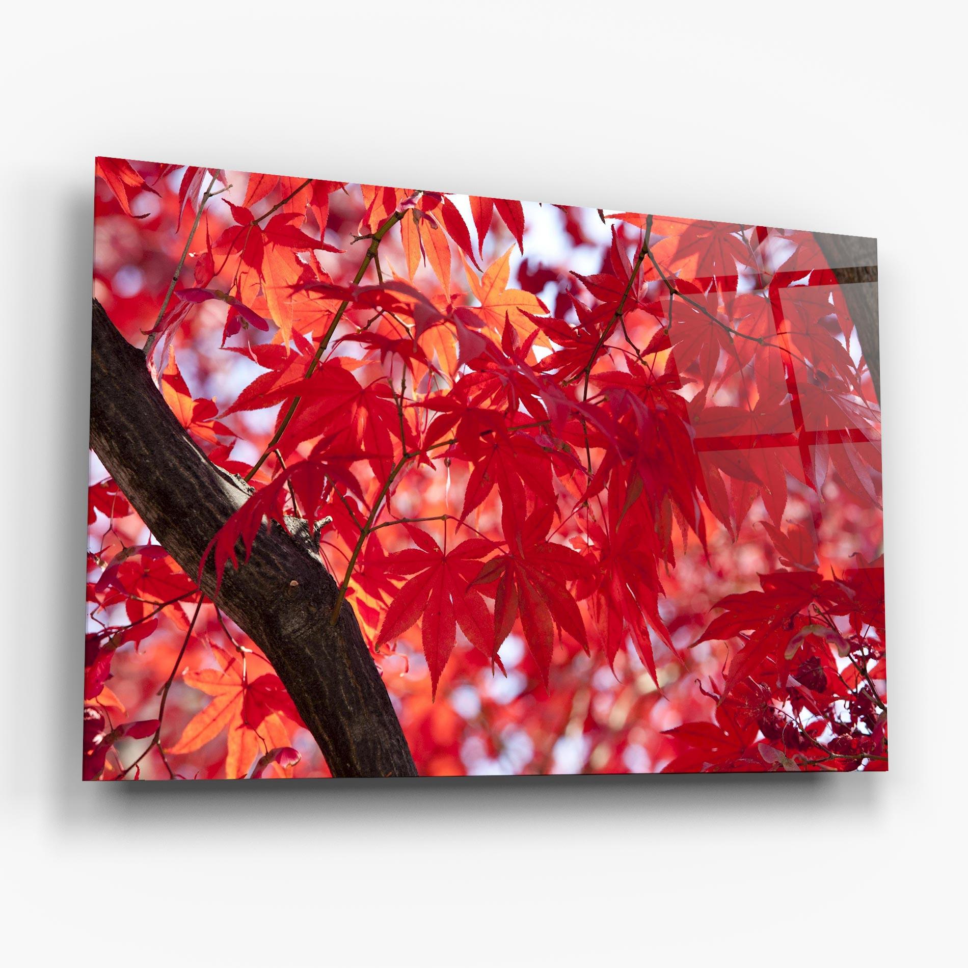 Glasbild Pretty Red Leaves mockup 6