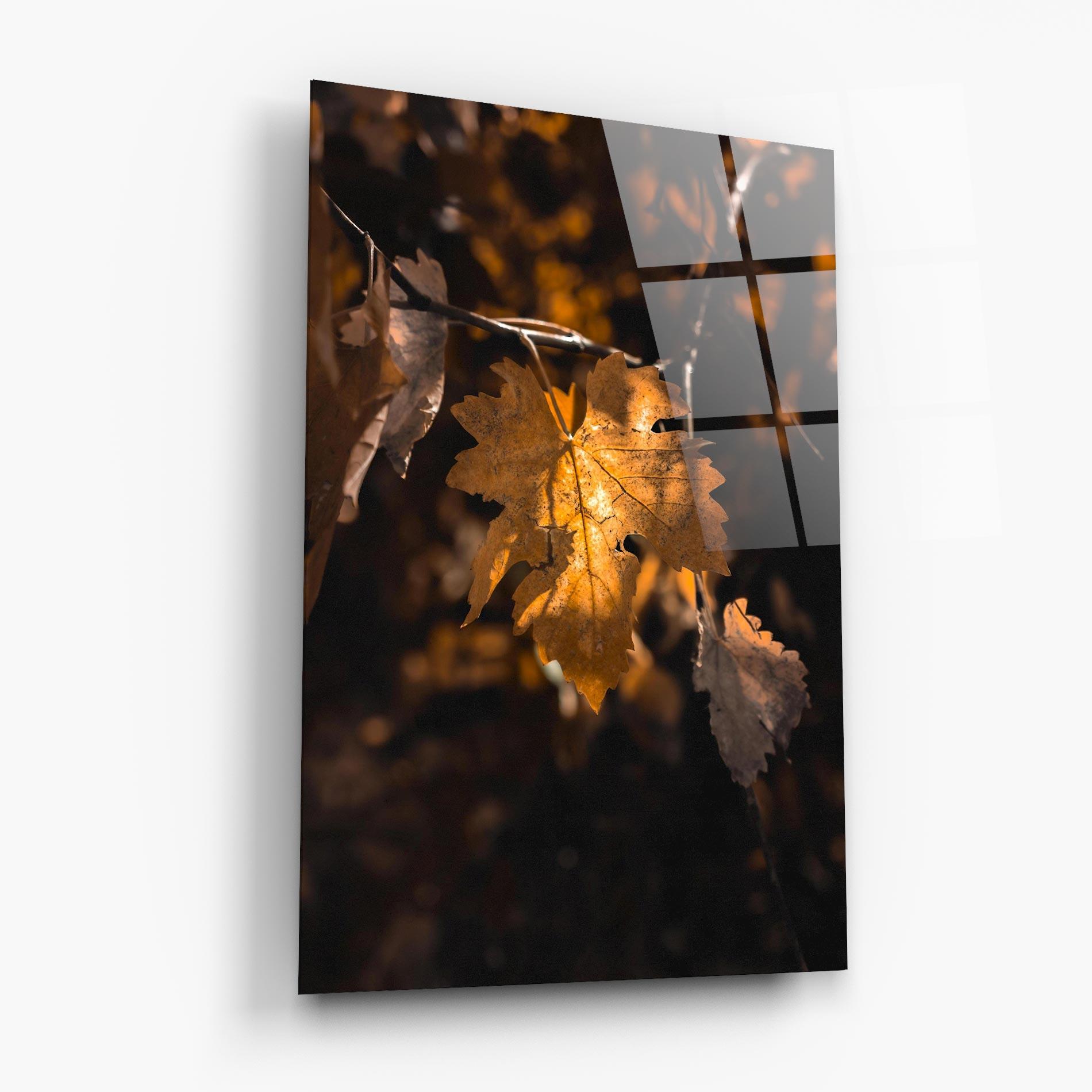 Glasbild Autumn Brown Leaf mockup 6