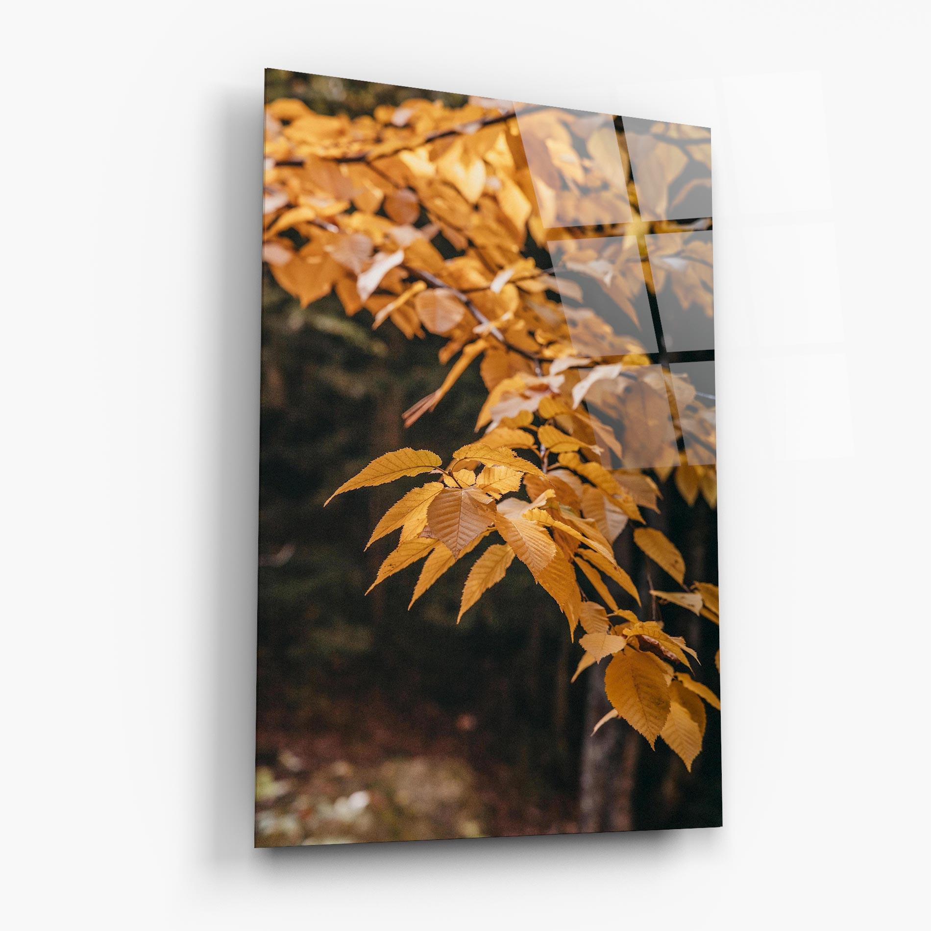 Glasbild Autumn Nature mockup 6
