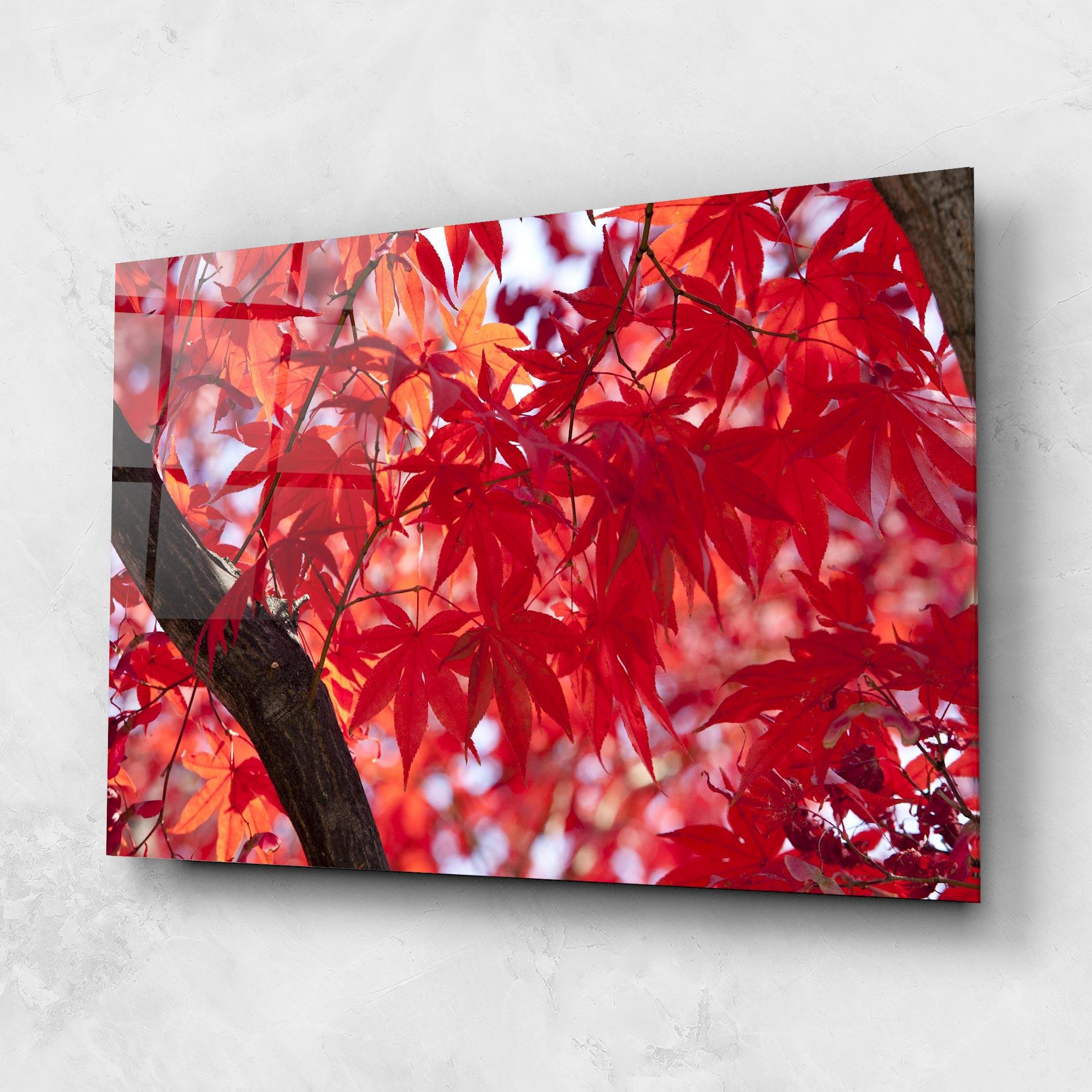 Glasbild Pretty Red Leaves mockup 1
