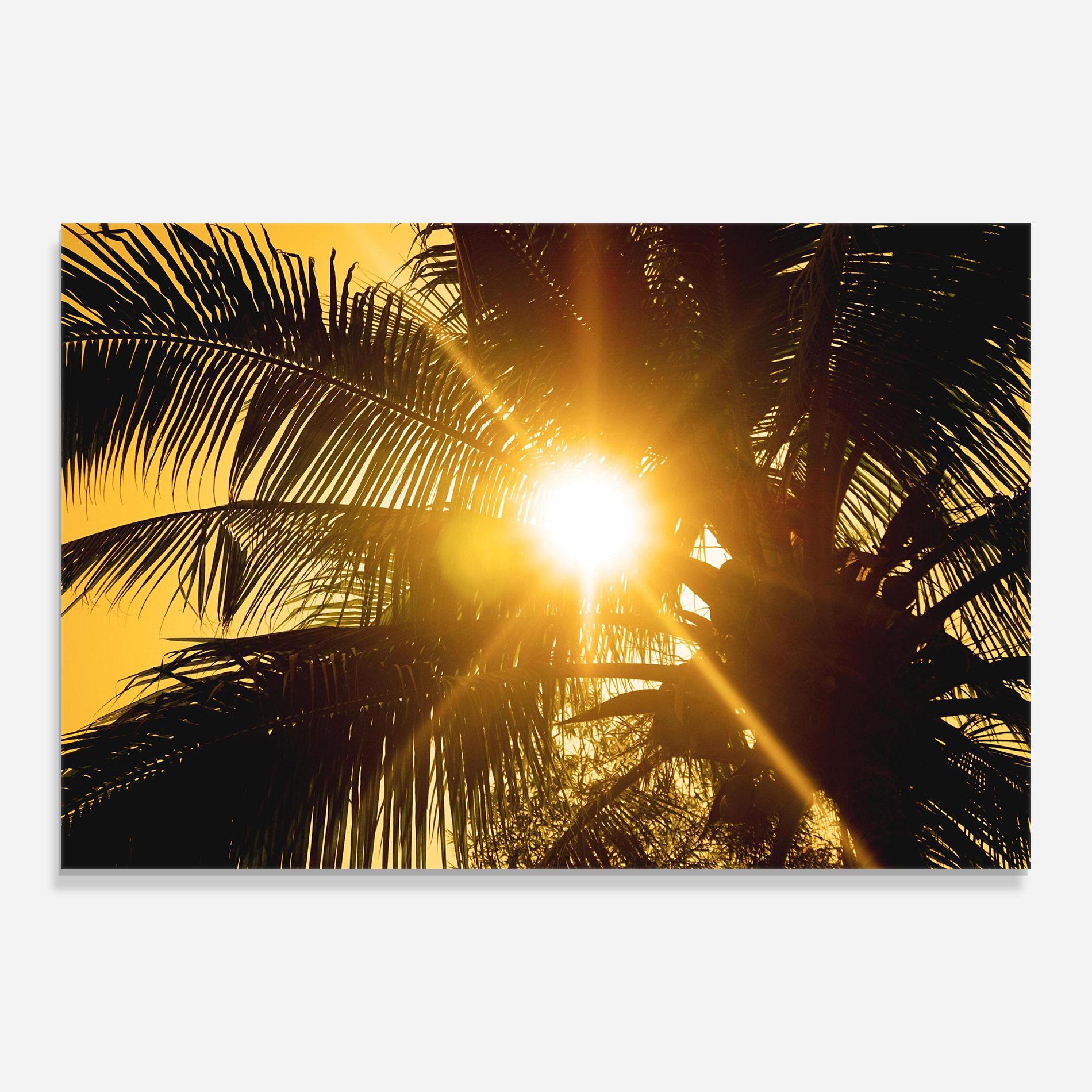 Glasbild Palm Trees Sun mockup 0