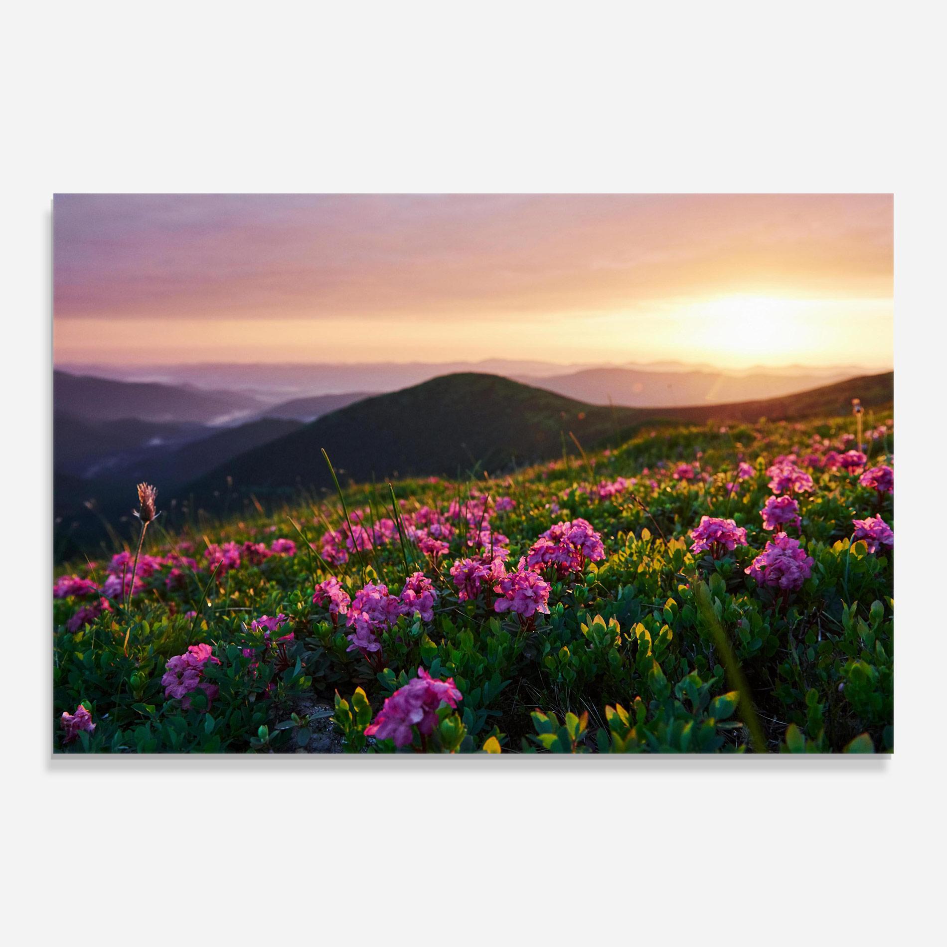 Glasbild Purple Summer Flowers mockup 0