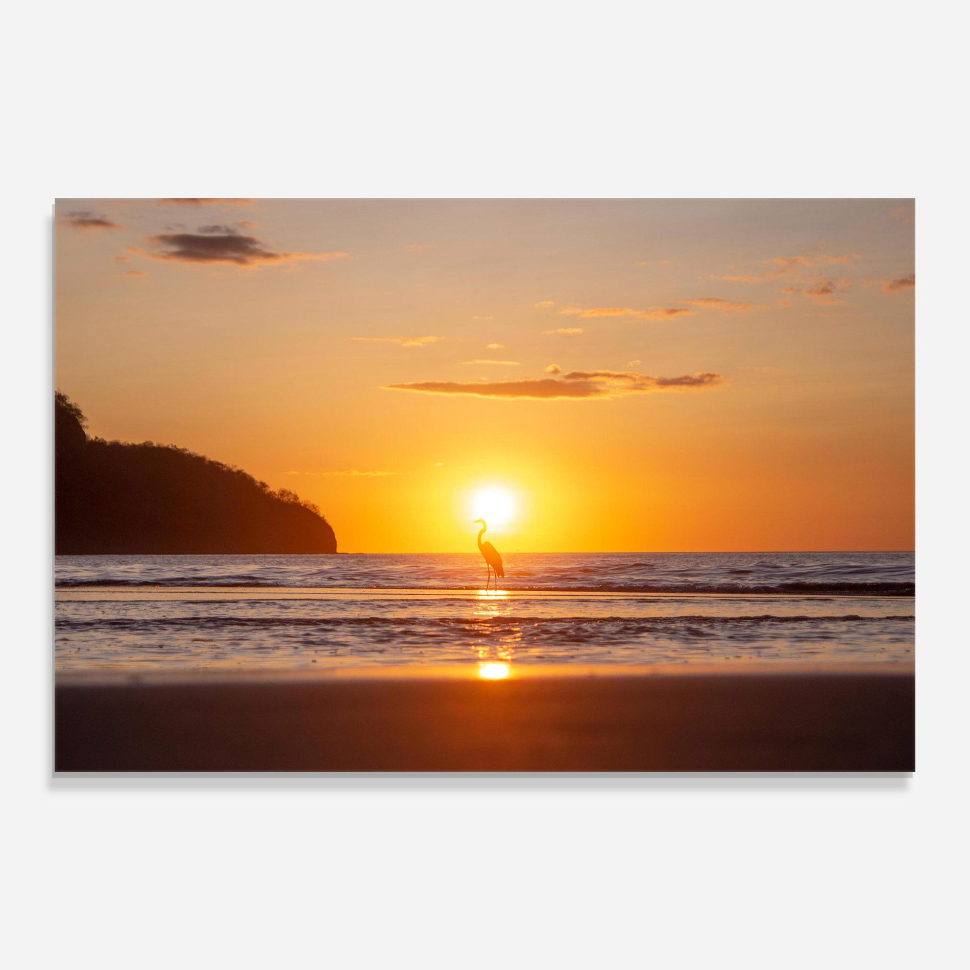 Glasbild Sunset Bird Silhouette mockup 0