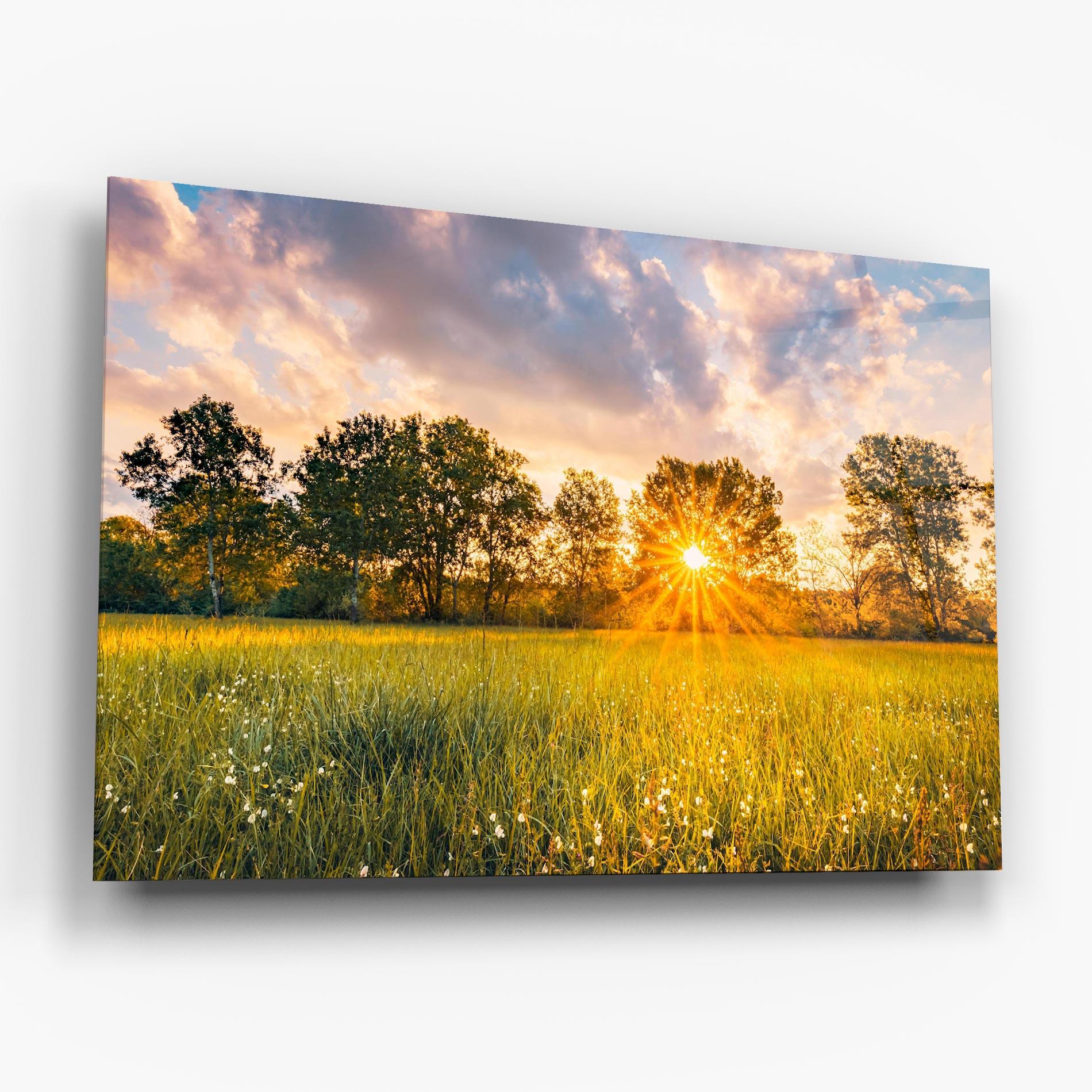 Glasbild Blossoming Meadow mockup 6