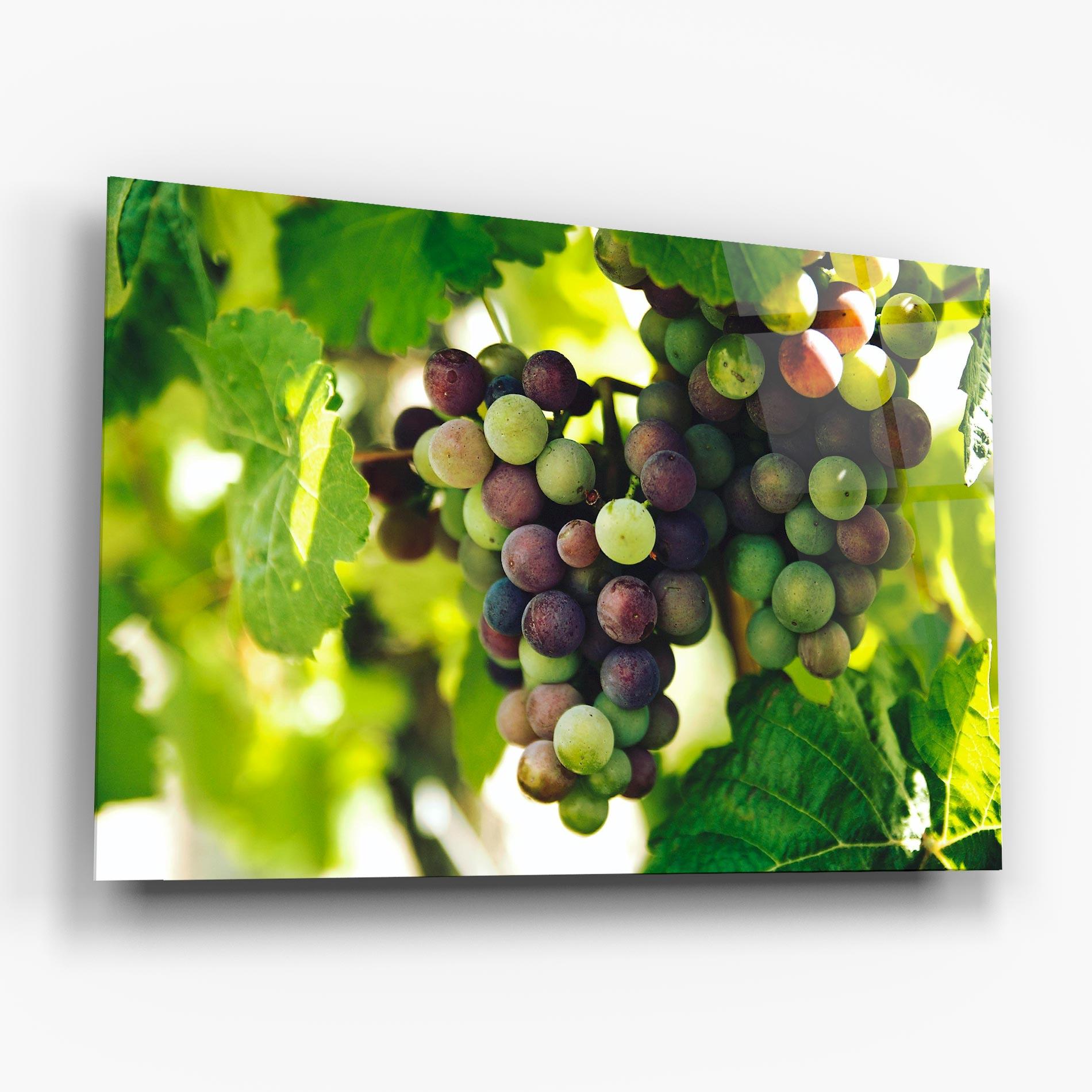 Glasbild Green Grapes mockup 6