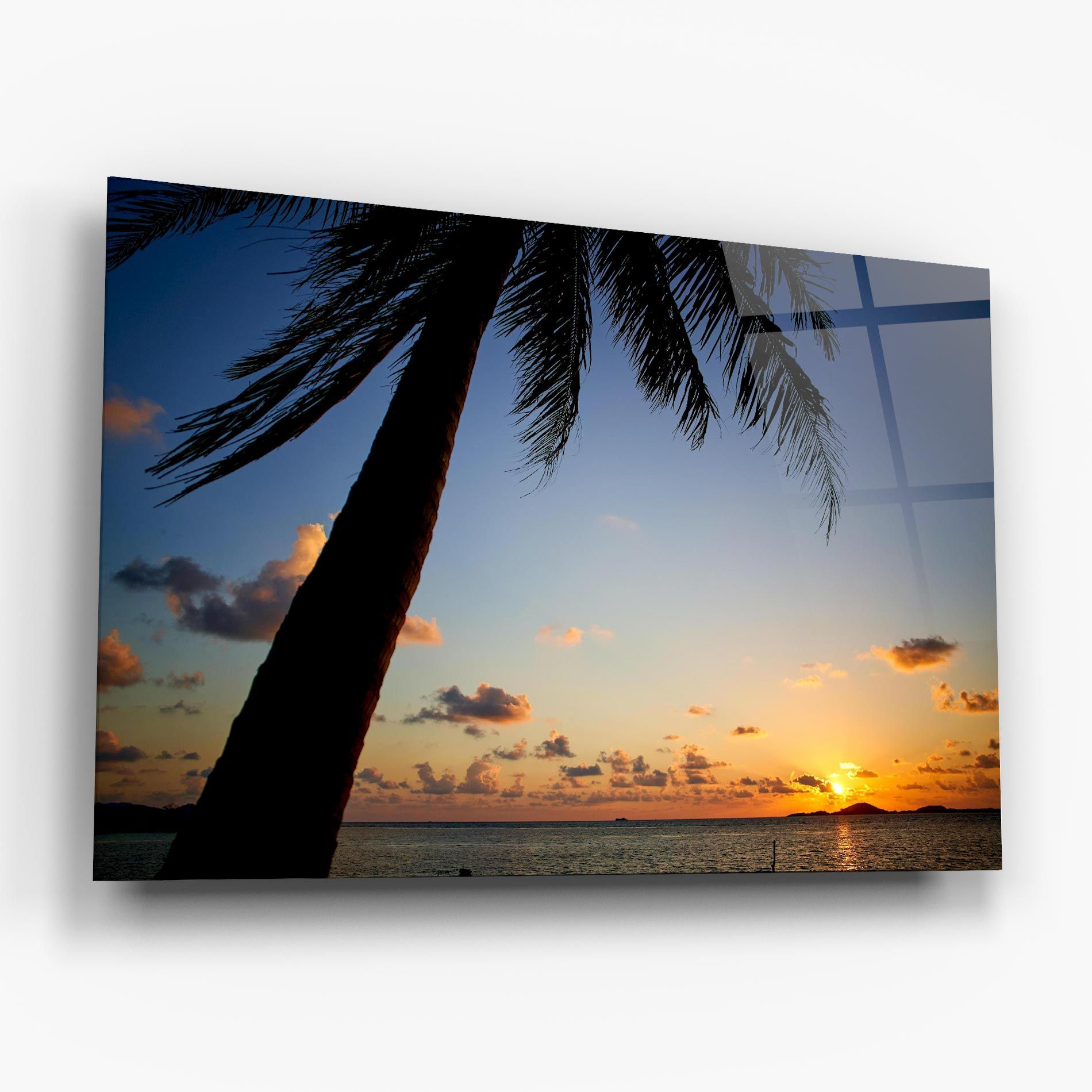 Palm Tree Silhouette mockup 6