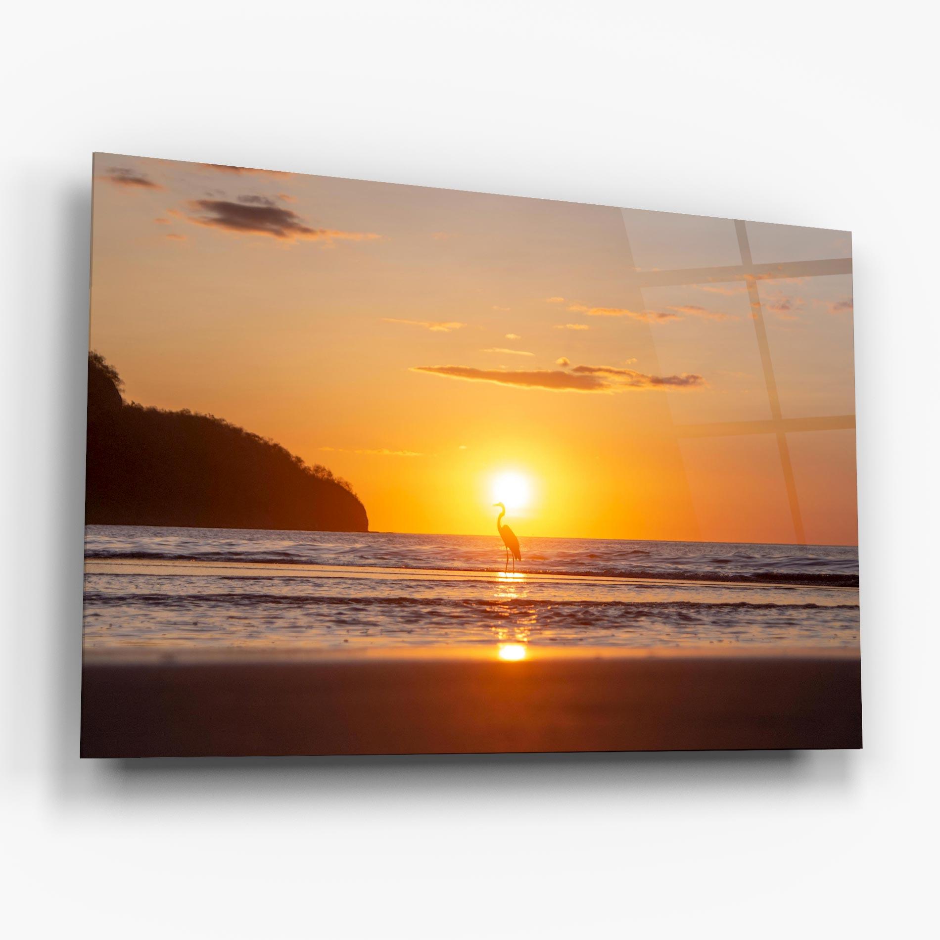Glasbild Sunset Bird Silhouette mockup 6