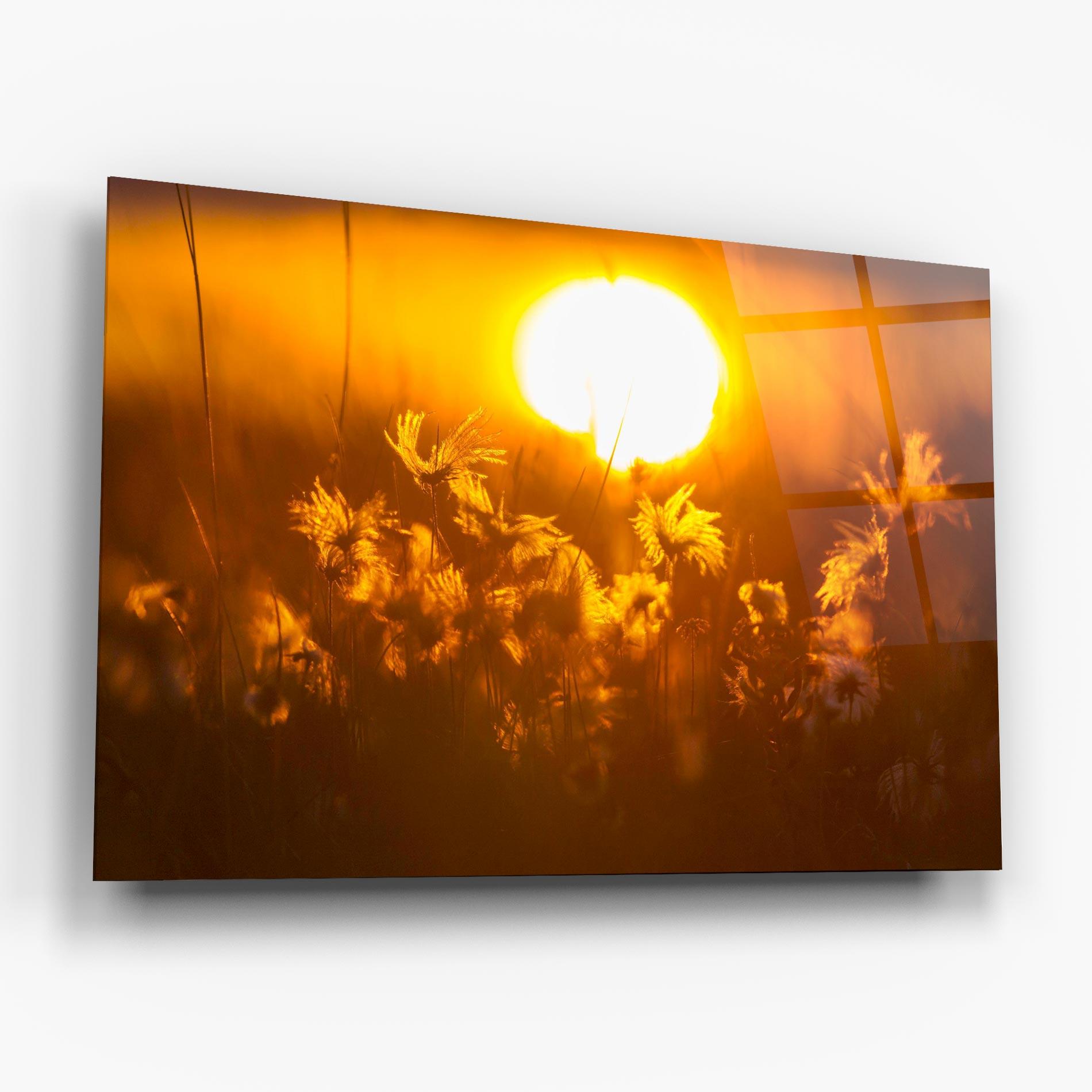 Glasbild Wildflowers mockup 6