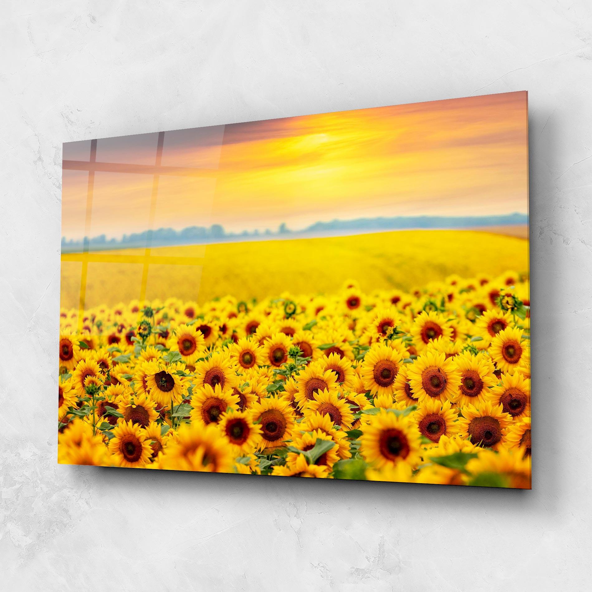 Glasbild Yellow Sunflowers mockup 1