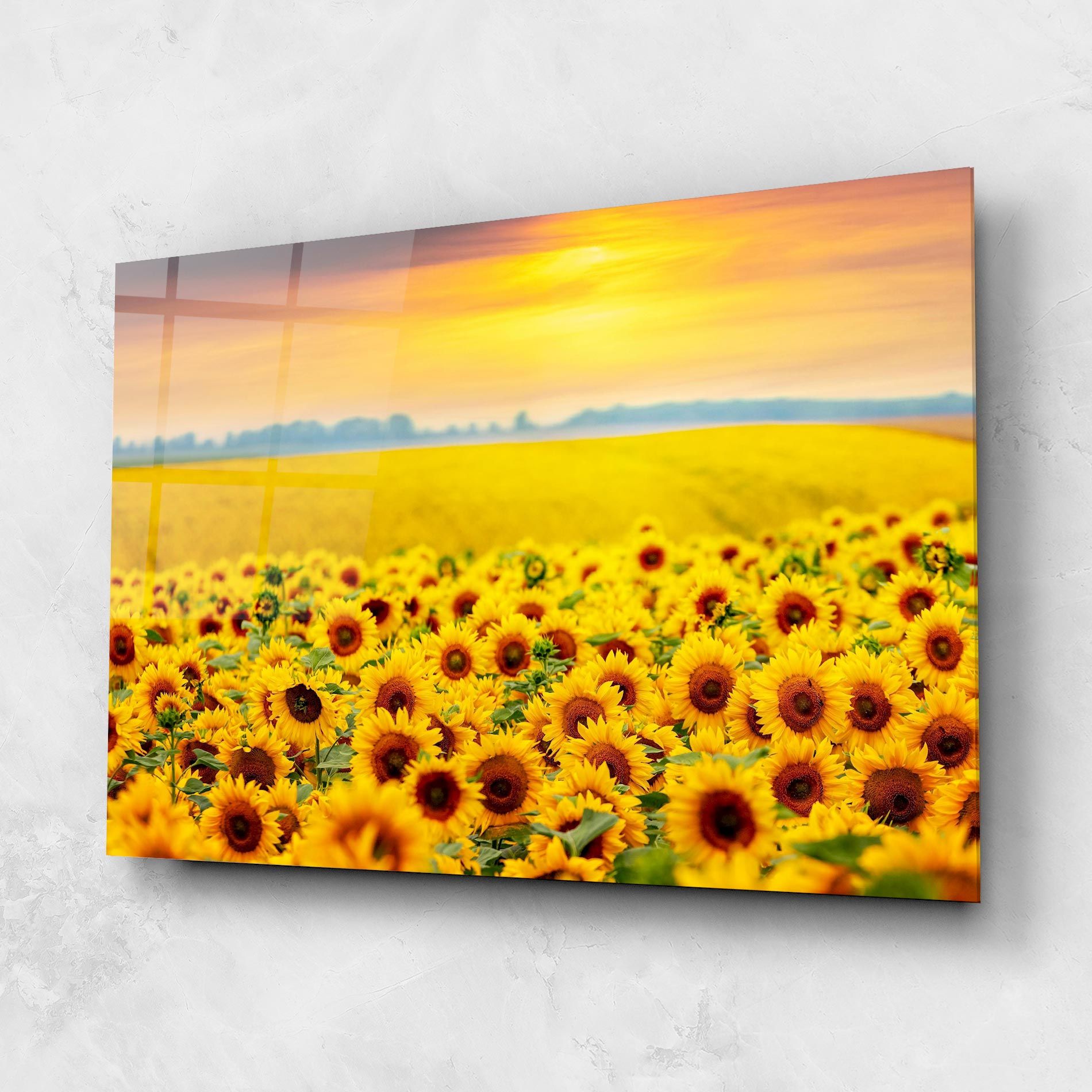 Yellow Sunflowers mockup 1
