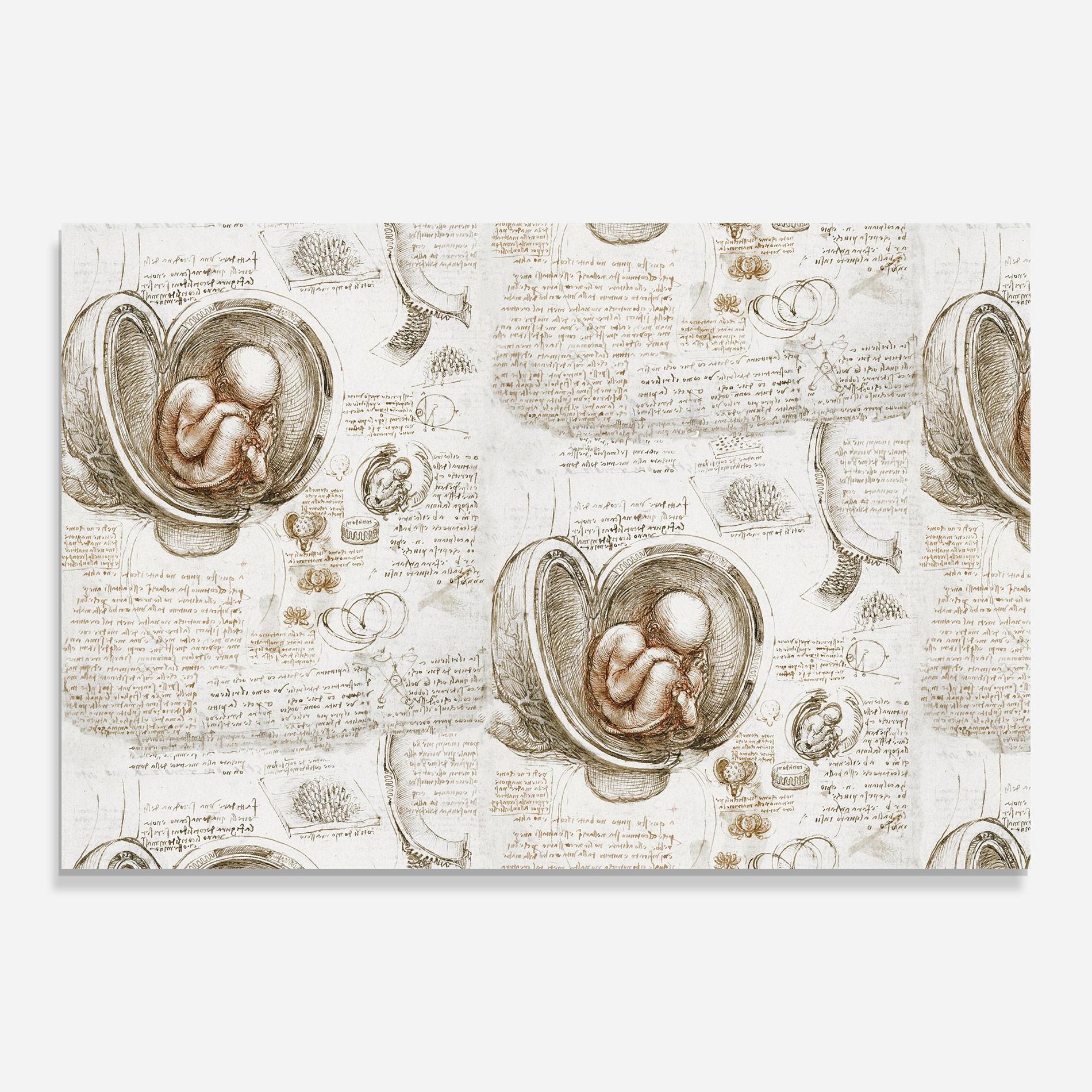 Glasbild Leonardo Studies Of The Foetus mockup 0