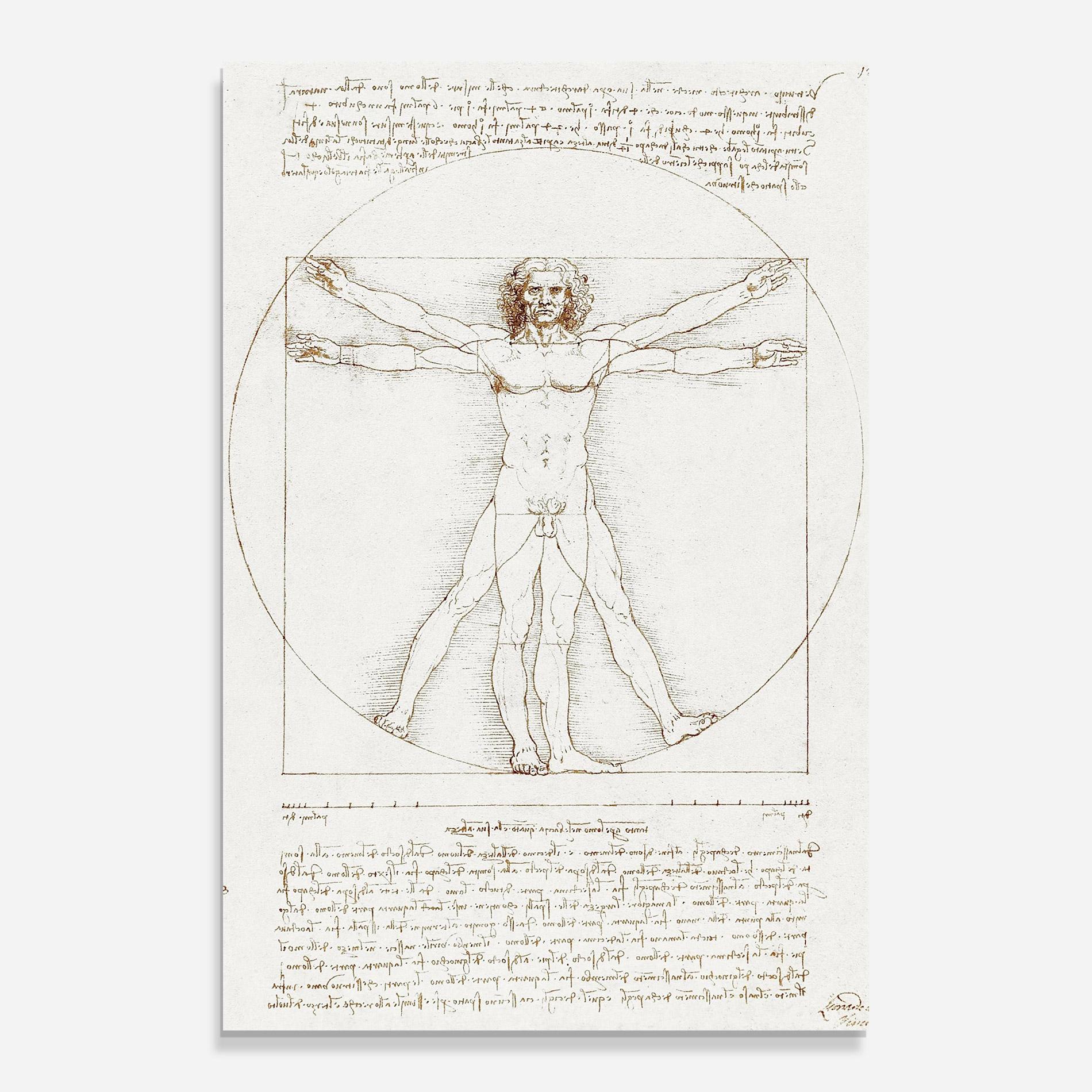 Glasbild Leonardo Da Vinci's Vitruvian Man mockup 0