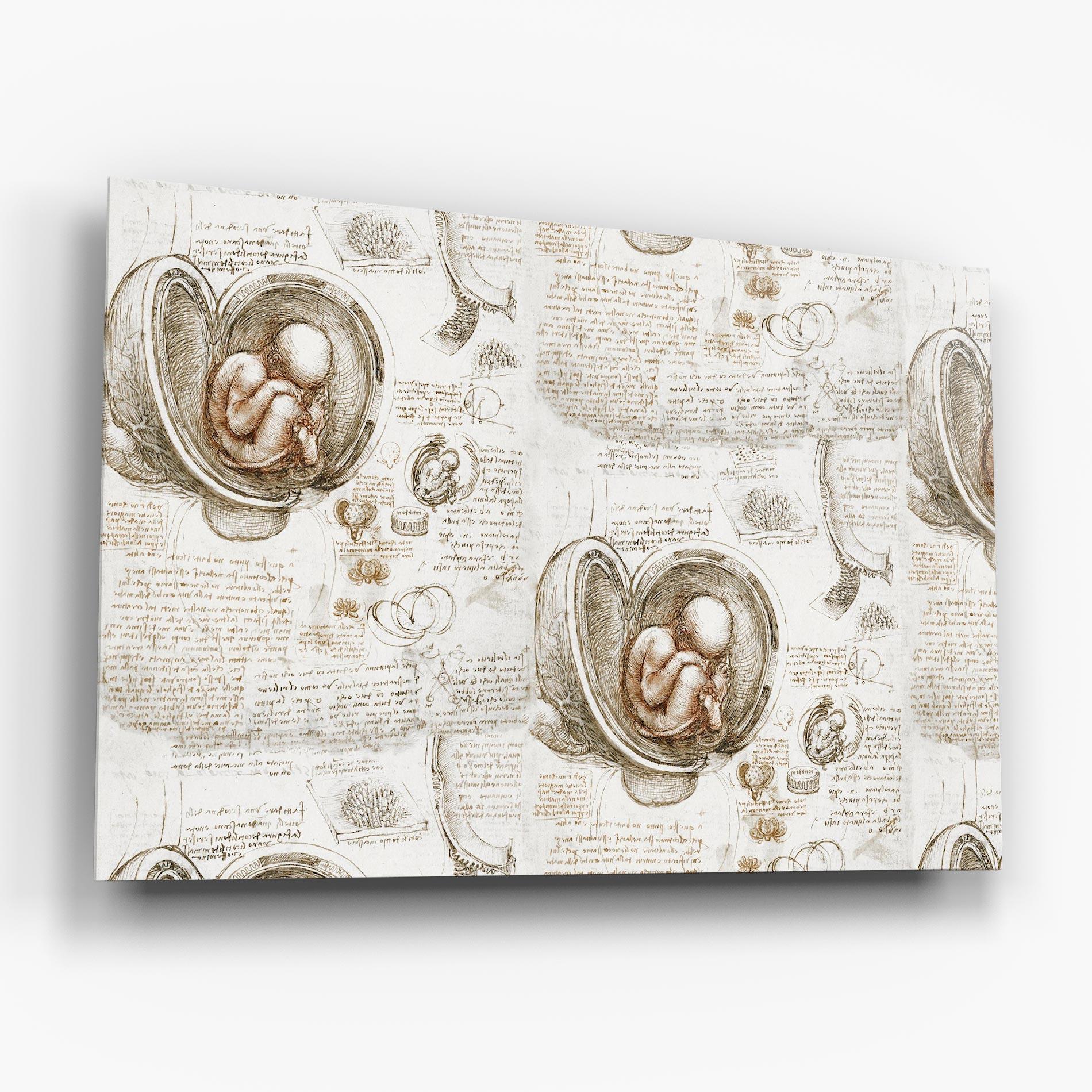 Glasbild Leonardo Studies Of The Foetus mockup 6