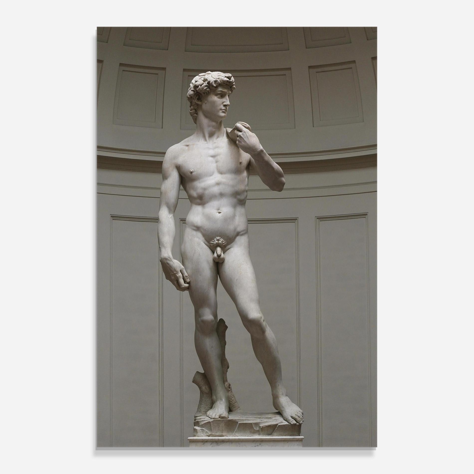 Glasbild Michelangelo Statue mockup 0