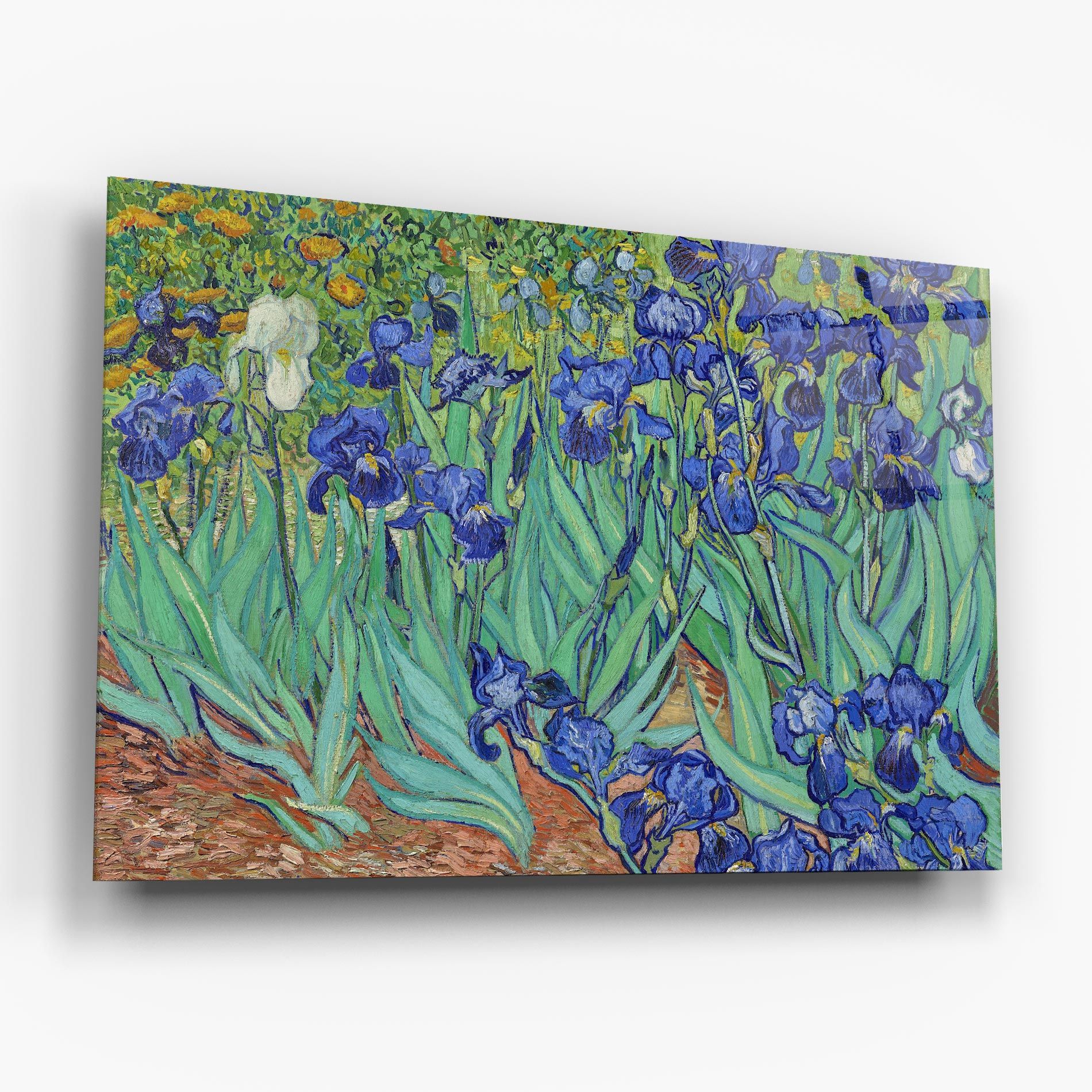 Irises Van Gogh mockup 6