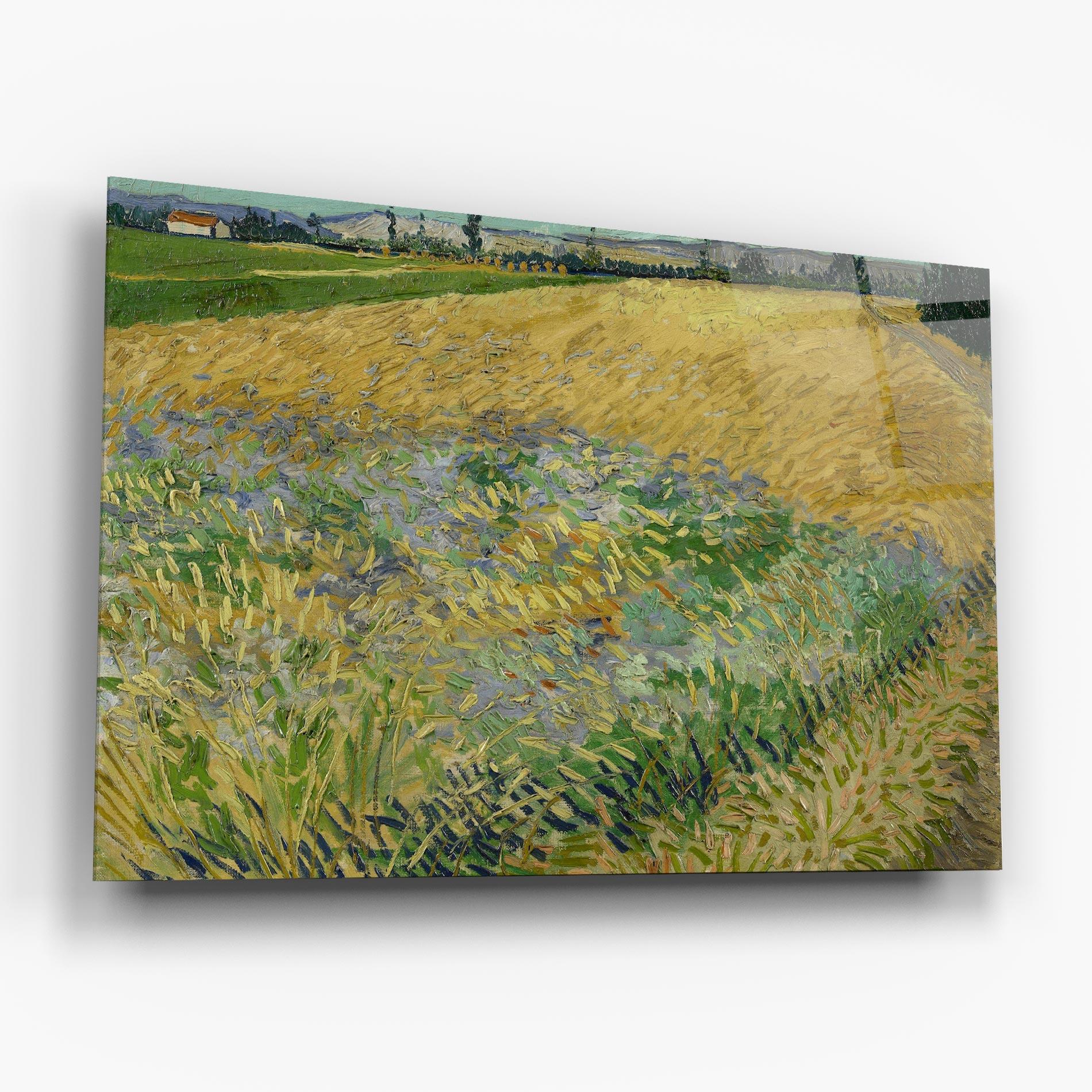 Glasbild Korenveld mockup 6