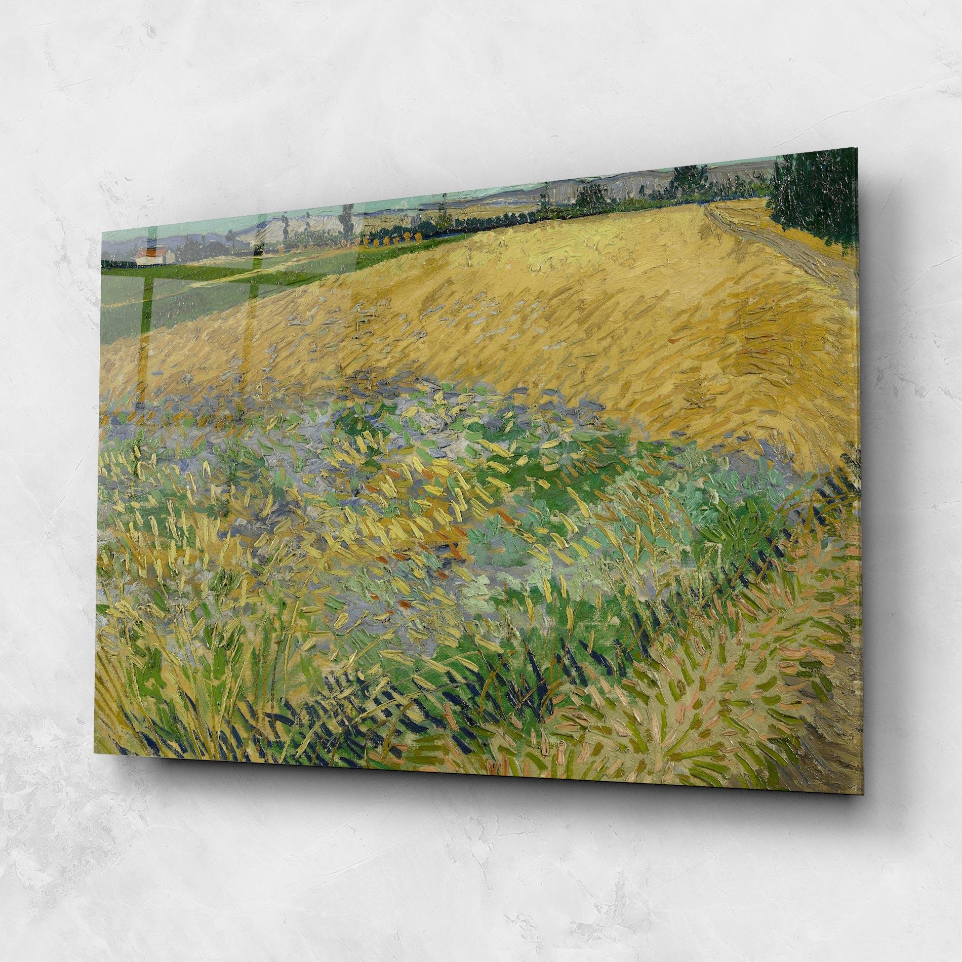 Glasbild Korenveld mockup 1