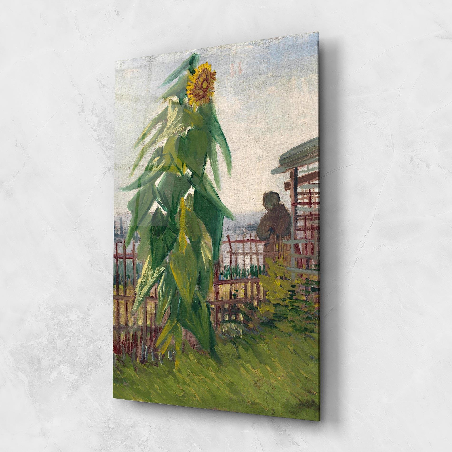 Glasbild Allotment With Sunflower mockup 1
