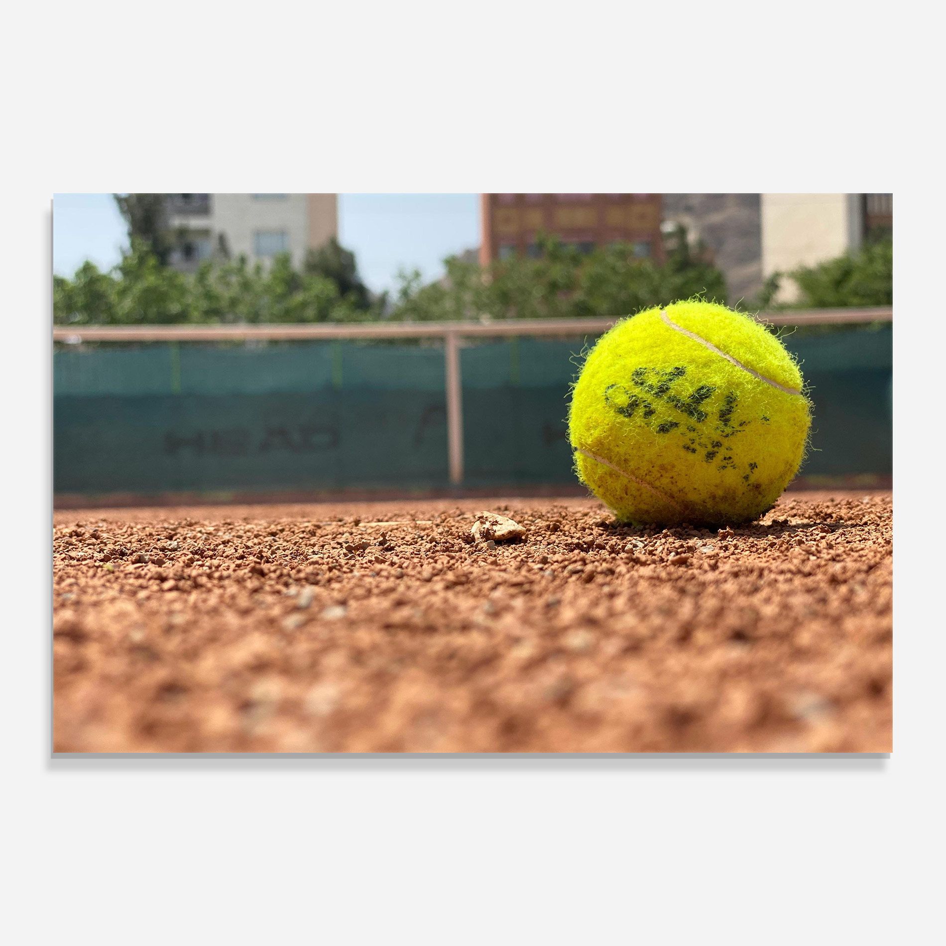 Lost Tennis Ball mockup 0